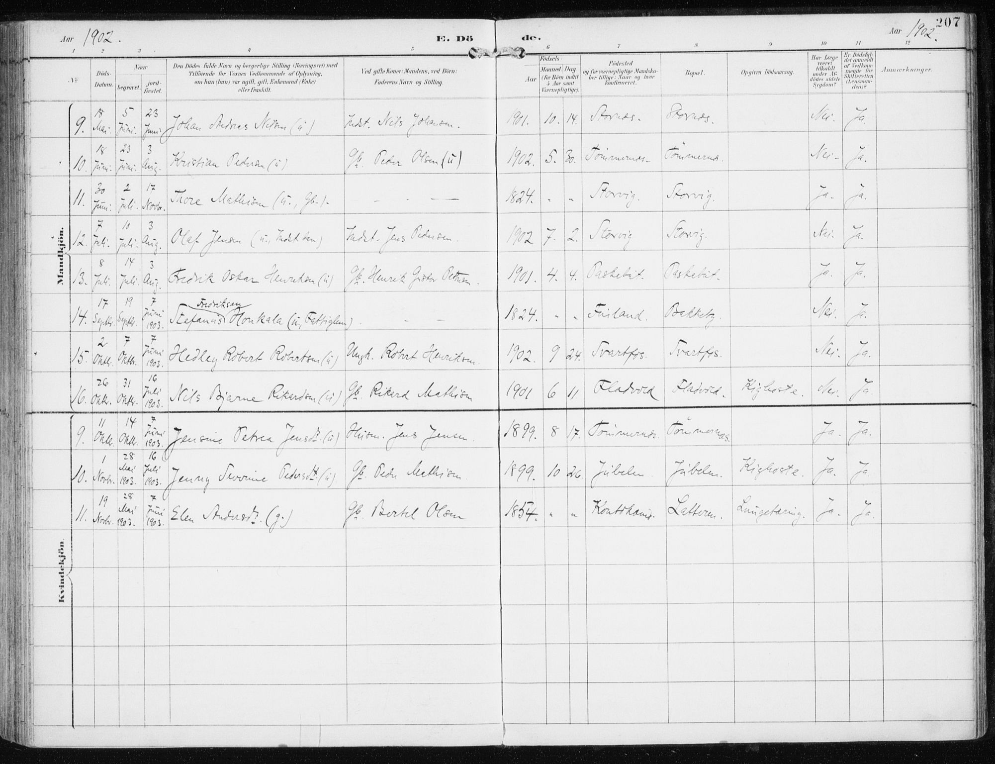 Skjervøy sokneprestkontor, AV/SATØ-S-1300/H/Ha/Haa/L0017kirke: Parish register (official) no. 17, 1895-1911, p. 207