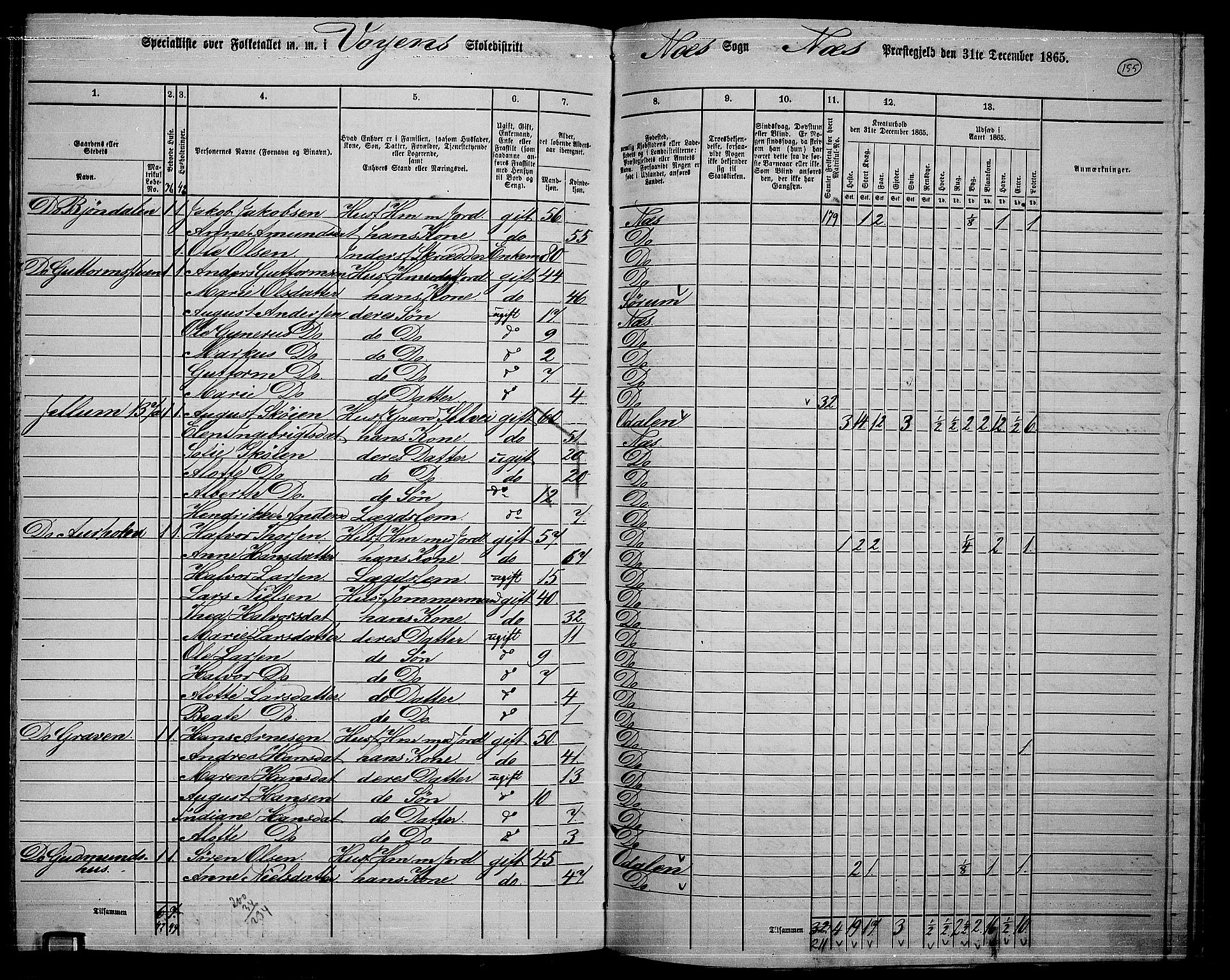 RA, 1865 census for Nes, 1865, p. 141