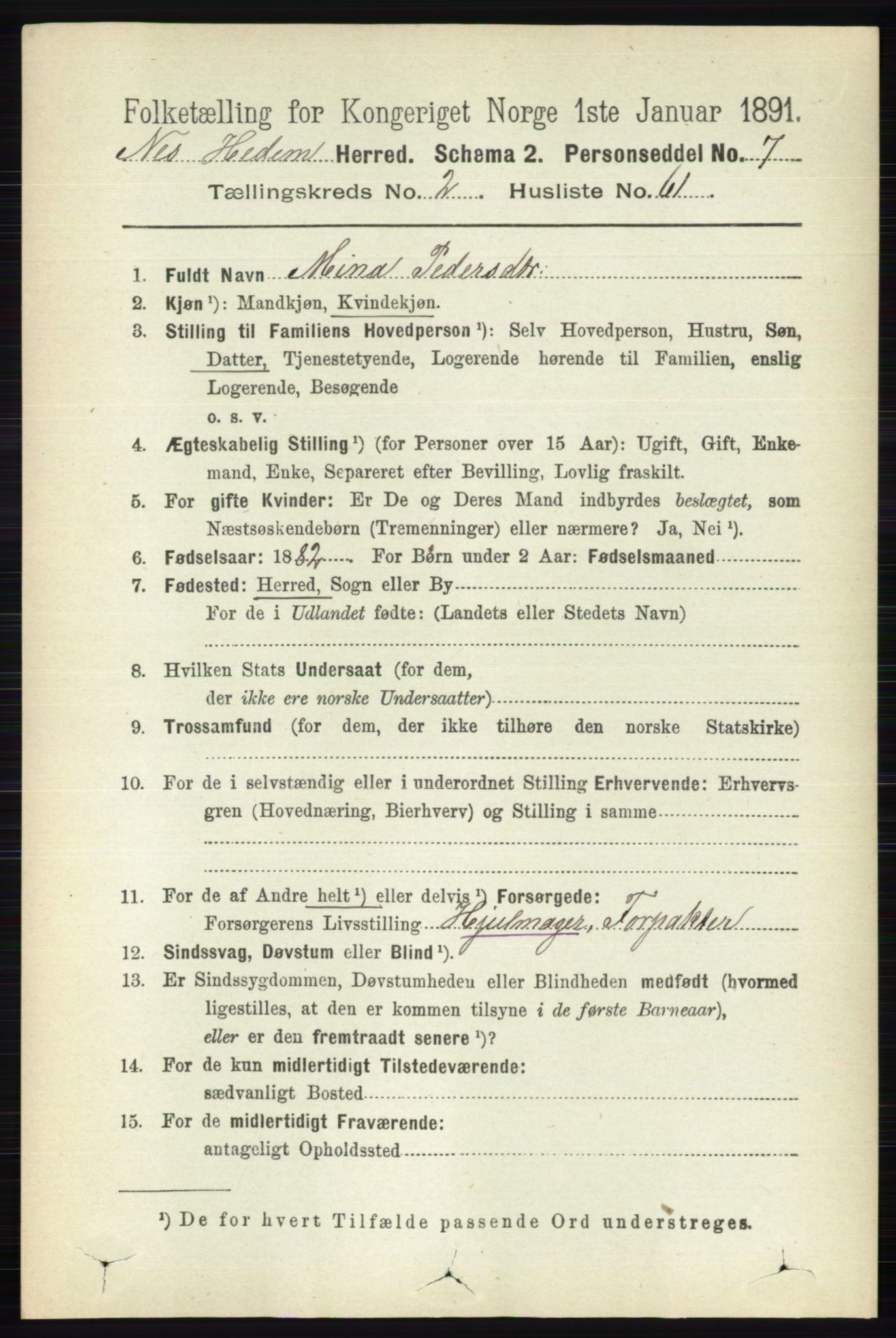 RA, 1891 census for 0411 Nes, 1891, p. 1496