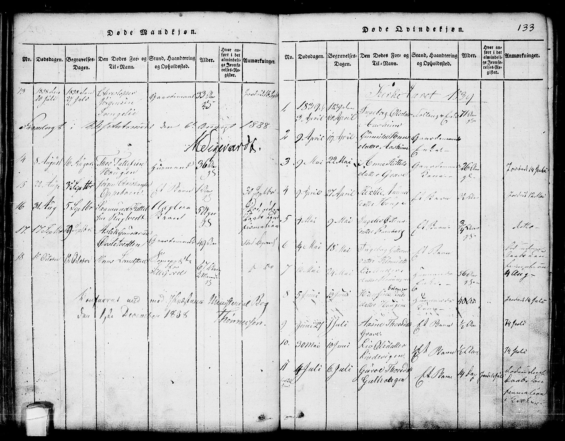 Seljord kirkebøker, SAKO/A-20/G/Ga/L0001: Parish register (copy) no. I 1, 1815-1854, p. 133