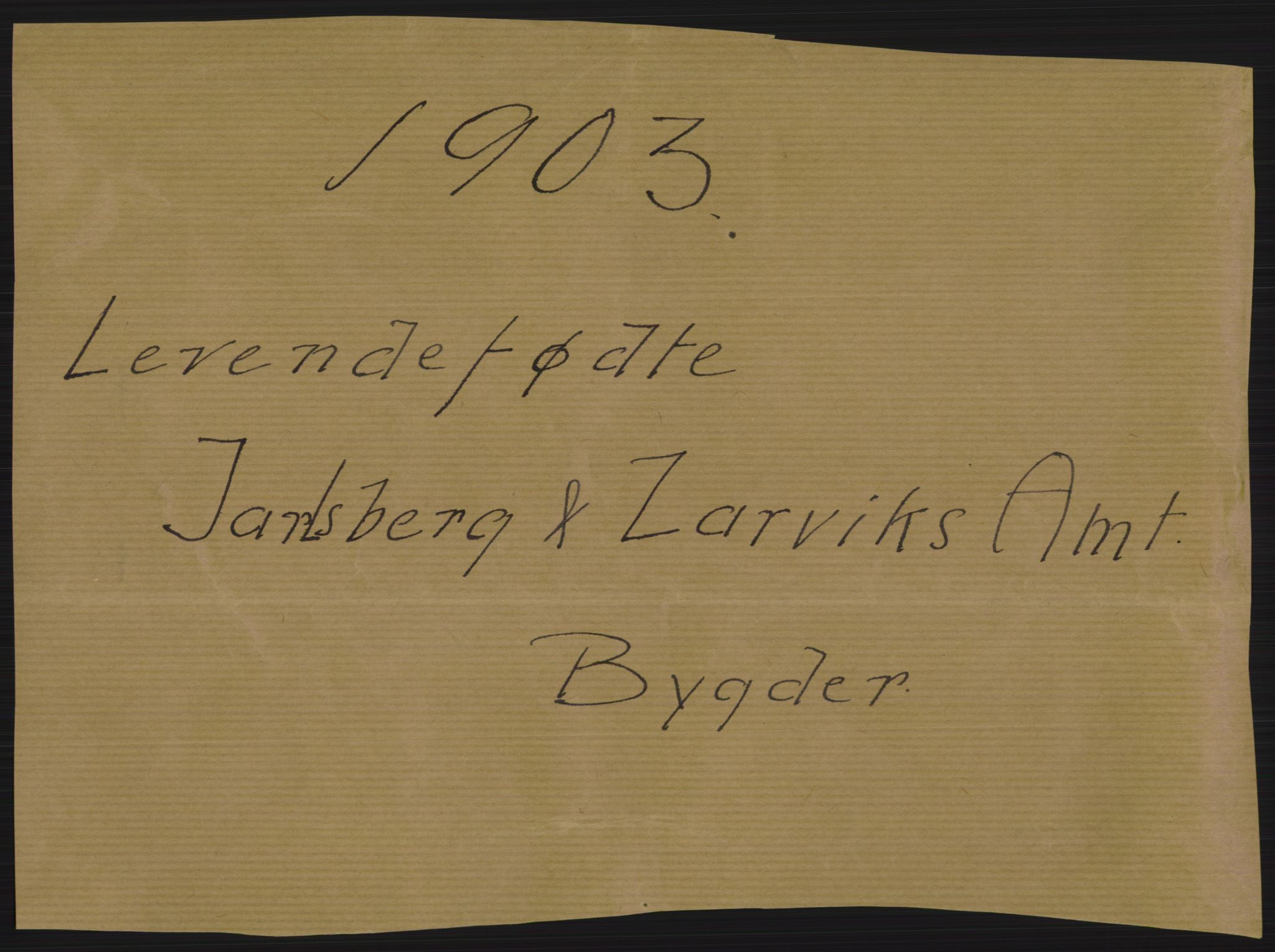 Statistisk sentralbyrå, Sosiodemografiske emner, Befolkning, RA/S-2228/D/Df/Dfa/Dfaa/L0008: Jarlsberg og Larvik amt: Fødte, gifte, døde, 1903, p. 1