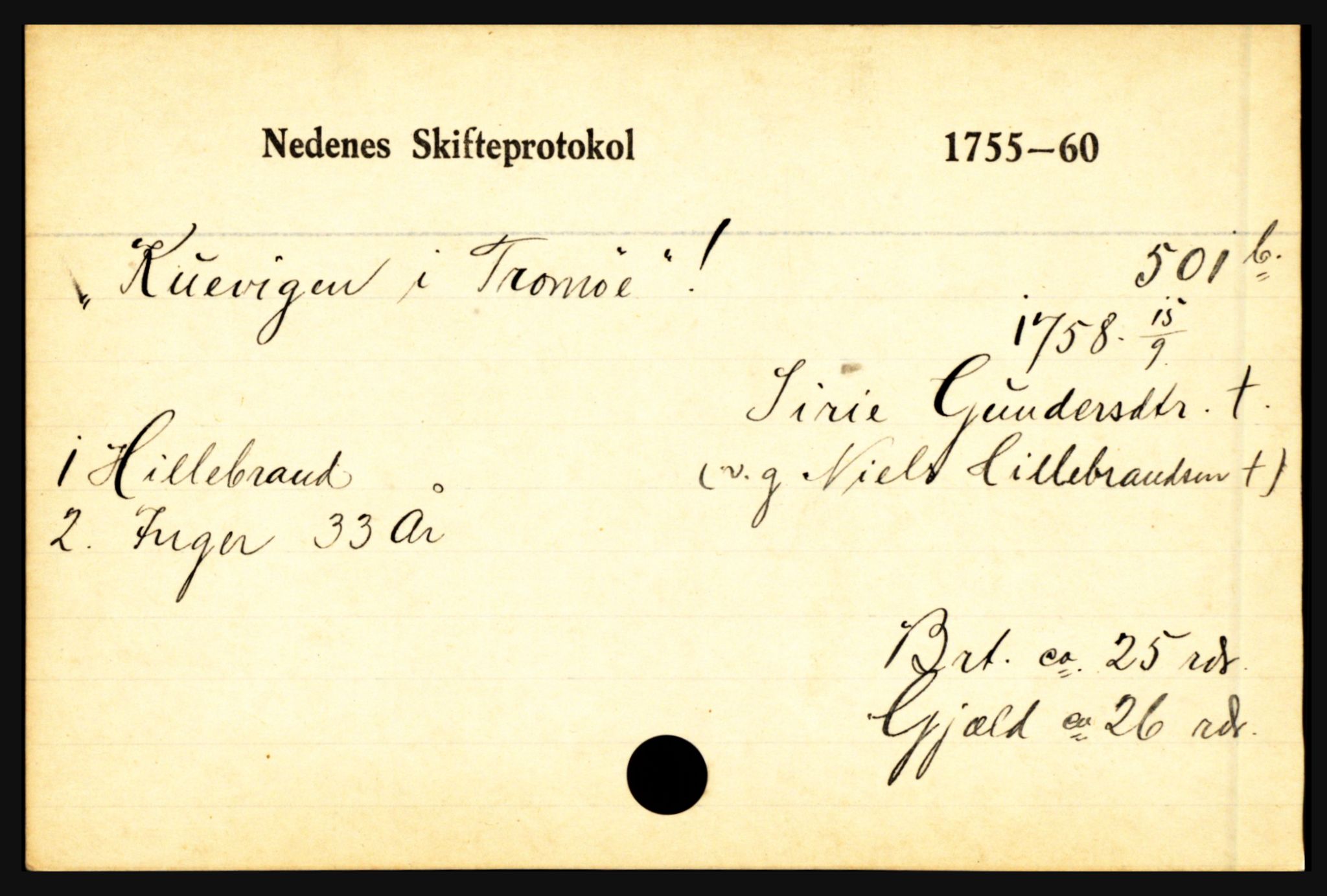 Nedenes sorenskriveri før 1824, AV/SAK-1221-0007/H, p. 16255