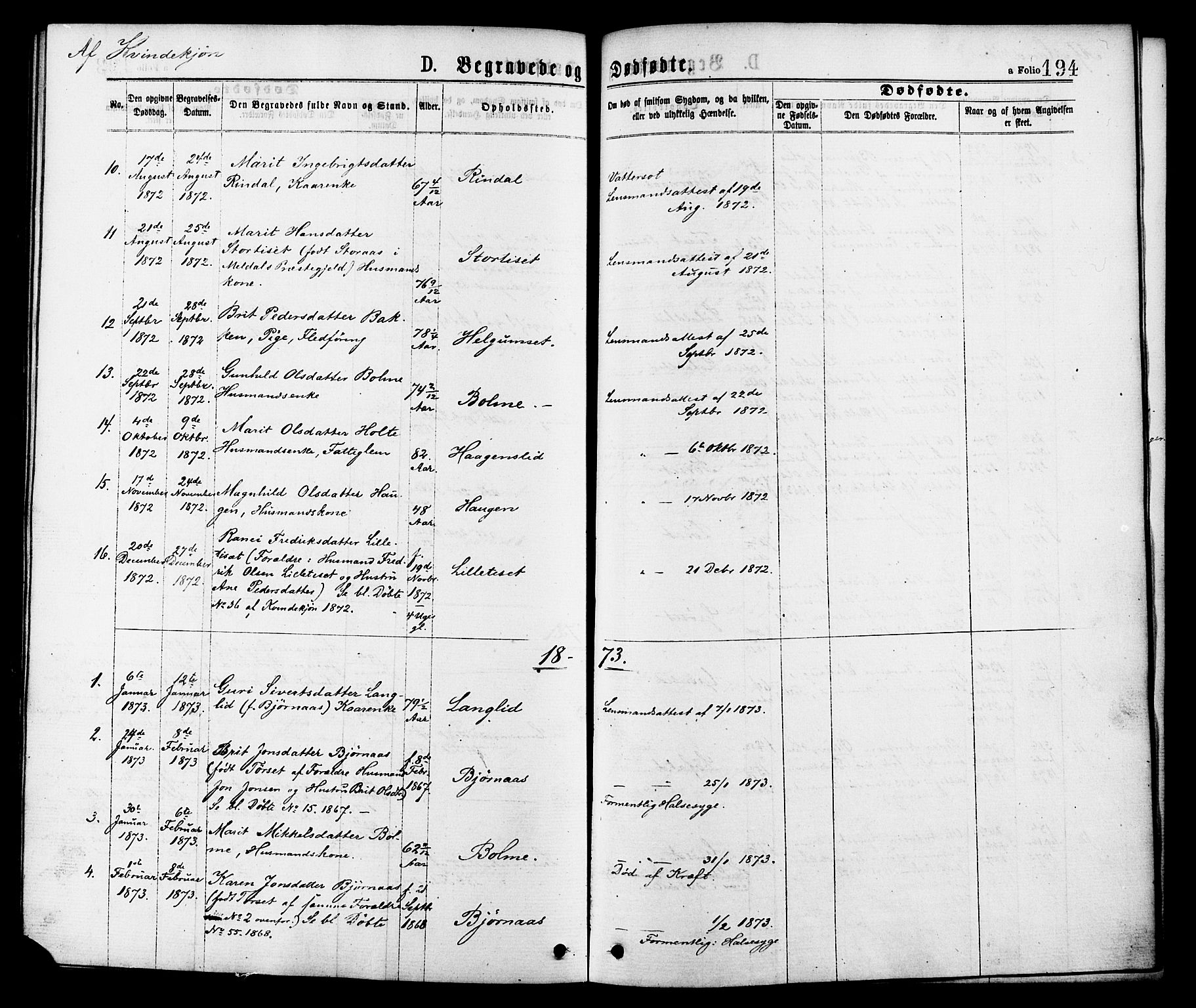 Ministerialprotokoller, klokkerbøker og fødselsregistre - Møre og Romsdal, AV/SAT-A-1454/598/L1068: Parish register (official) no. 598A02, 1872-1881, p. 194