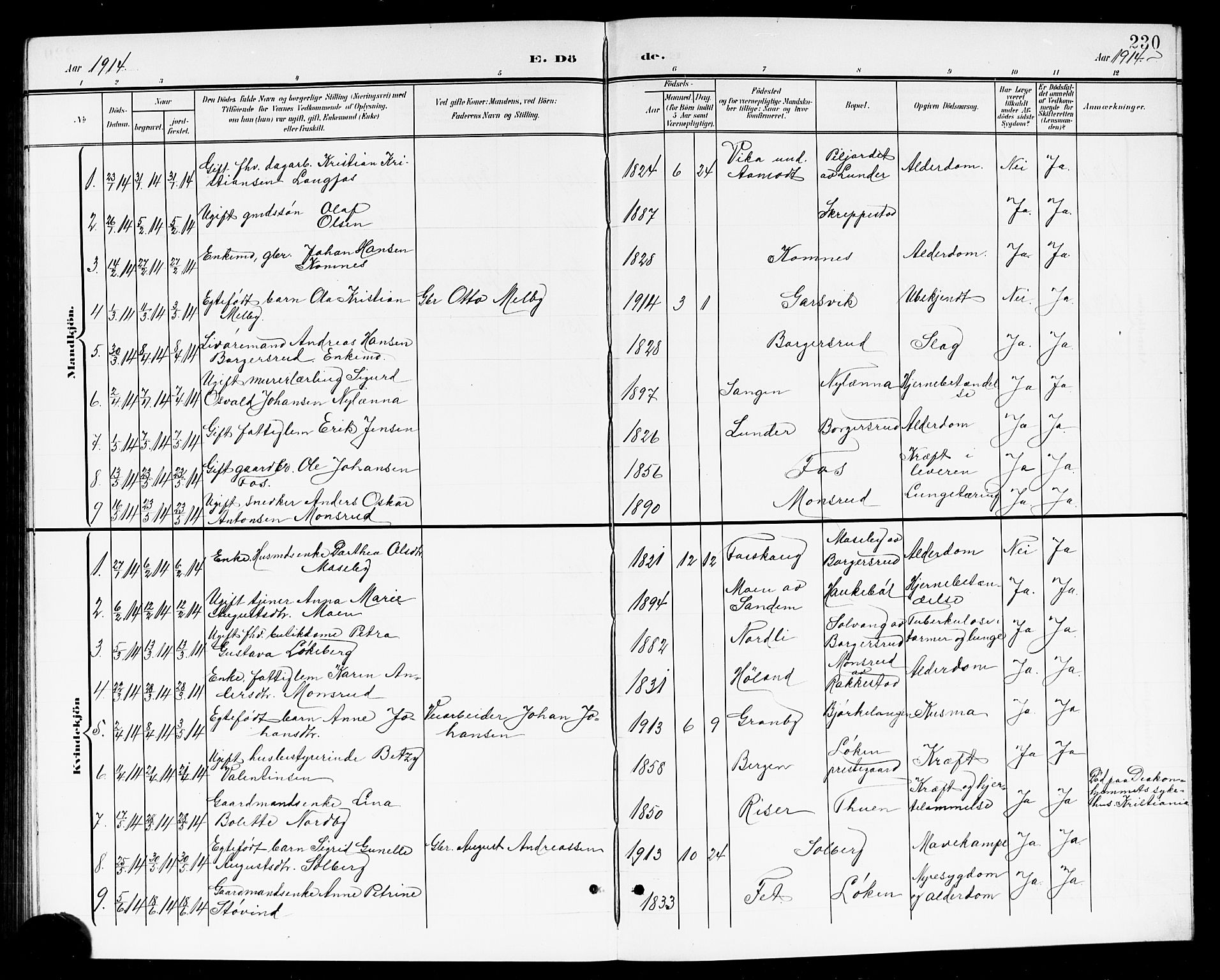 Høland prestekontor Kirkebøker, SAO/A-10346a/G/Ga/L0007: Parish register (copy) no. I 7, 1902-1914, p. 230