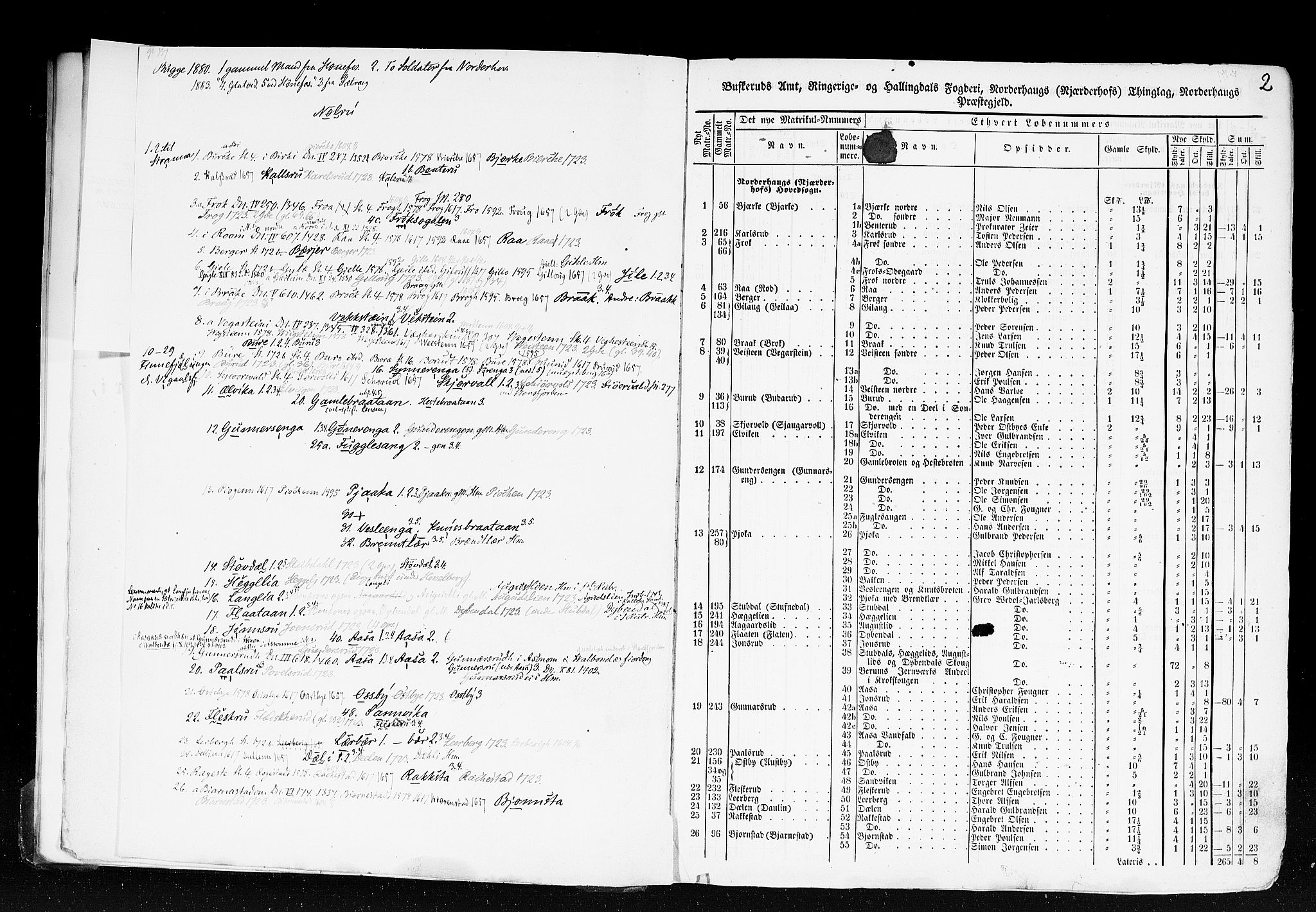 Rygh, AV/RA-PA-0034/F/Fb/L0005: Matrikkelen for 1838 - Buskerud amt (Buskerud fylke), 1838, p. 2a