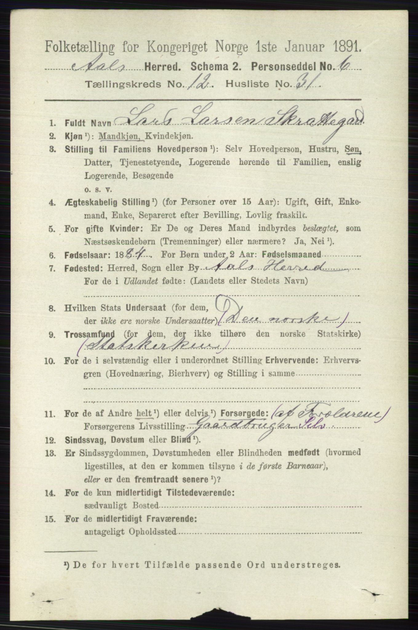 RA, 1891 census for 0619 Ål, 1891, p. 3188