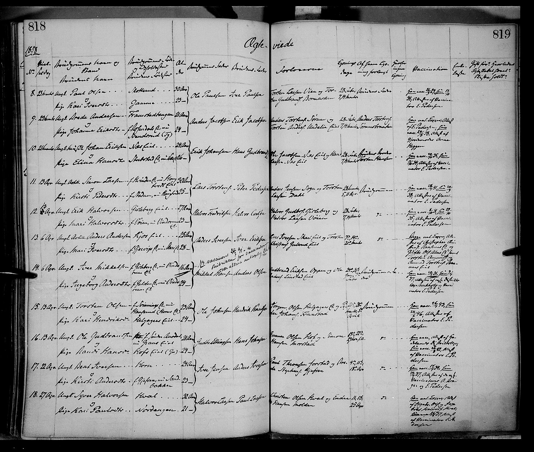 Gran prestekontor, SAH/PREST-112/H/Ha/Haa/L0012: Parish register (official) no. 12, 1856-1874, p. 818-819