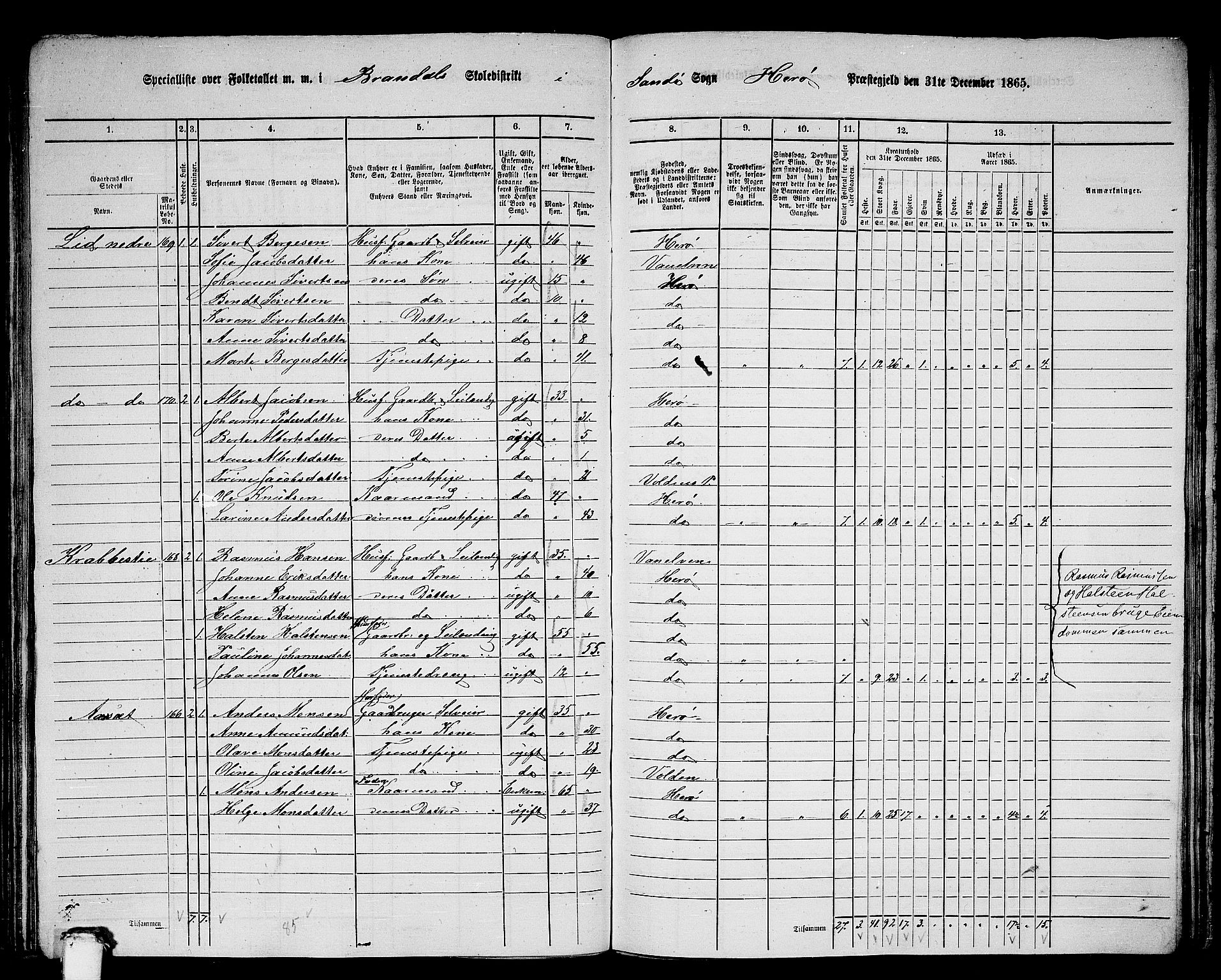 RA, 1865 census for Herøy, 1865, p. 134