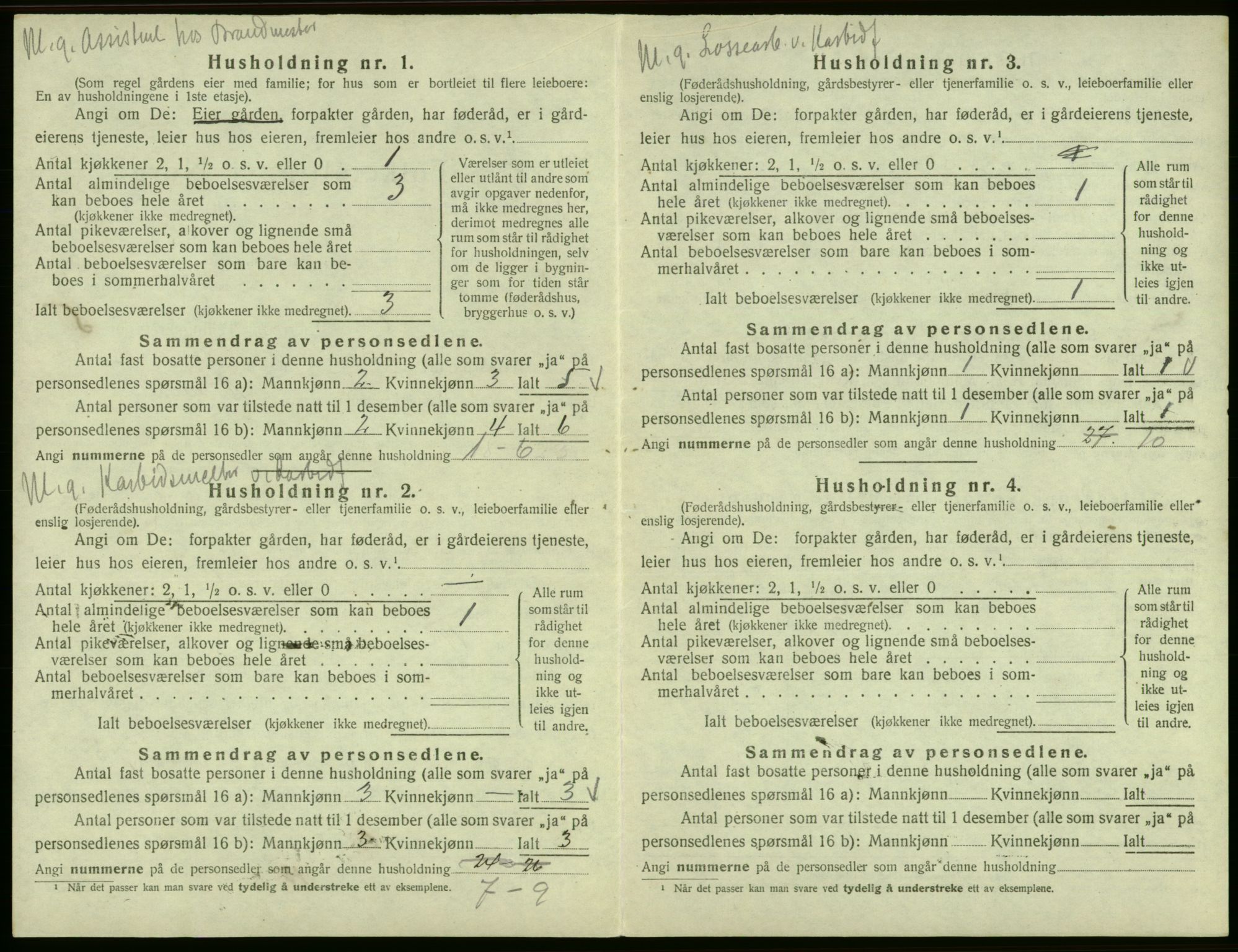 SAB, 1920 census for Odda, 1920, p. 360