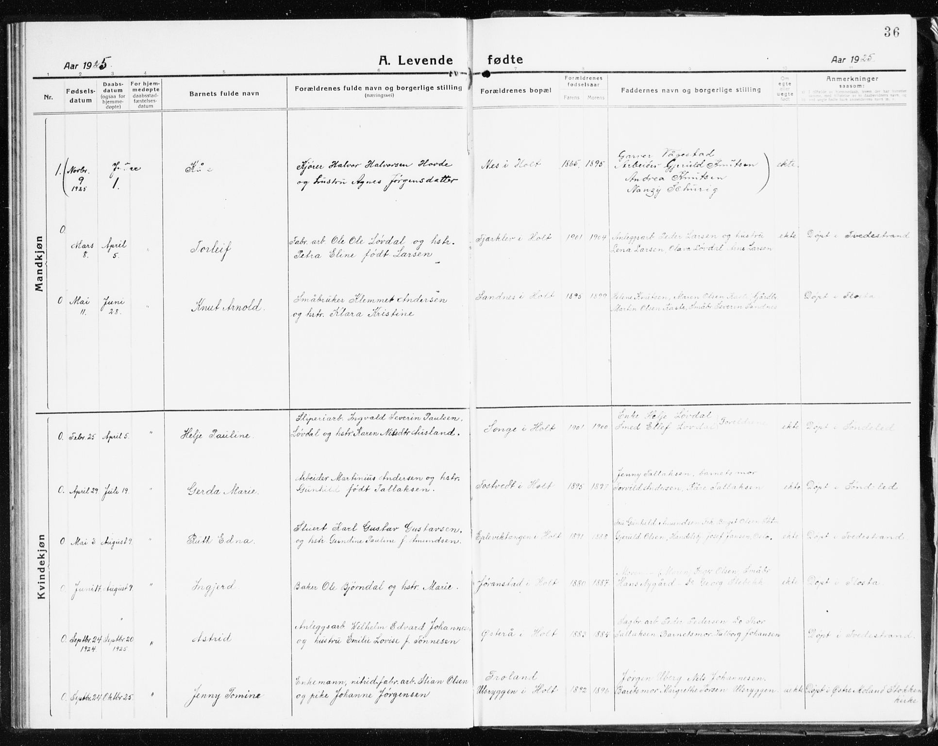 Holt sokneprestkontor, AV/SAK-1111-0021/F/Fb/L0012: Parish register (copy) no. B 12, 1919-1944, p. 36