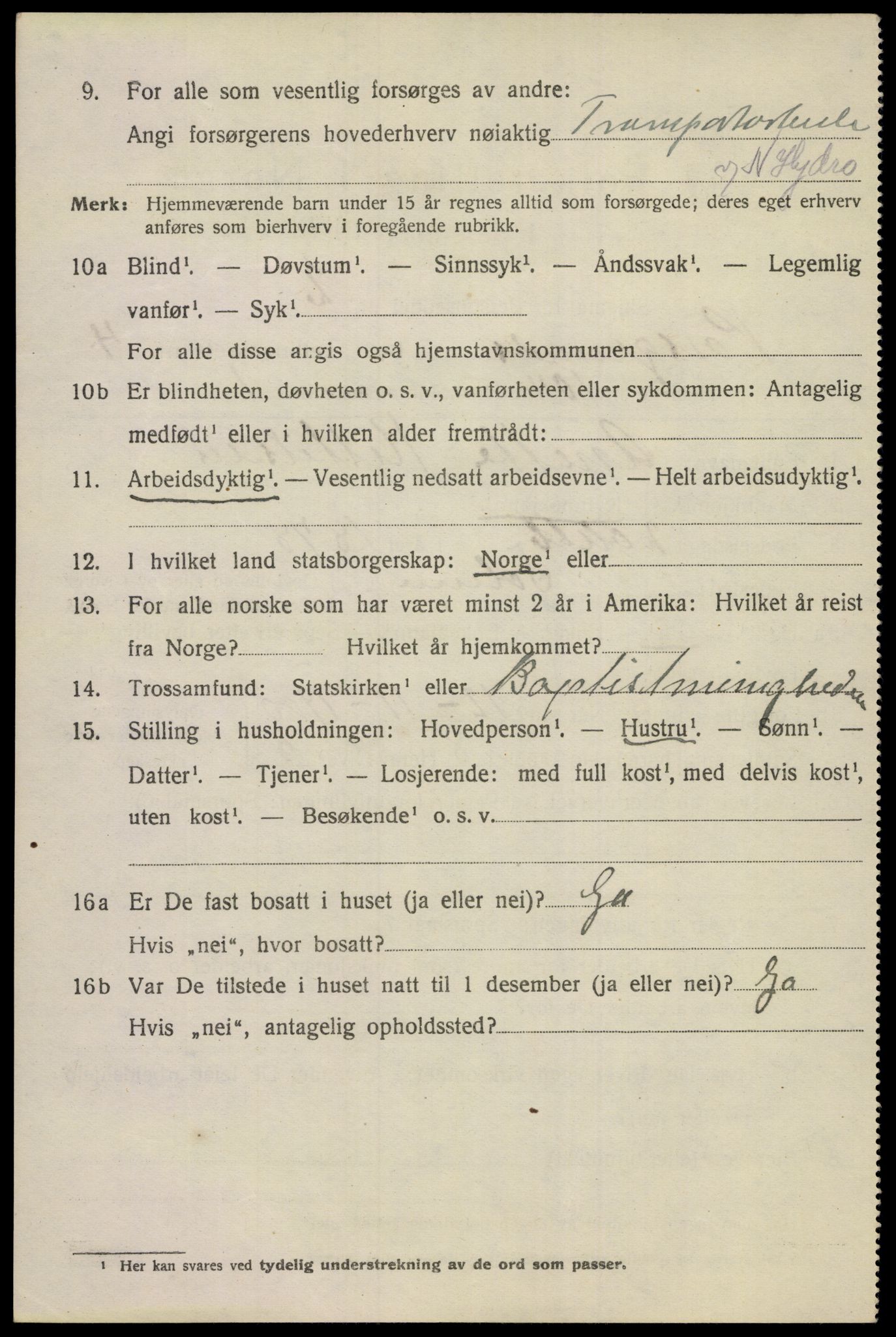 SAKO, 1920 census for Porsgrunn, 1920, p. 19914