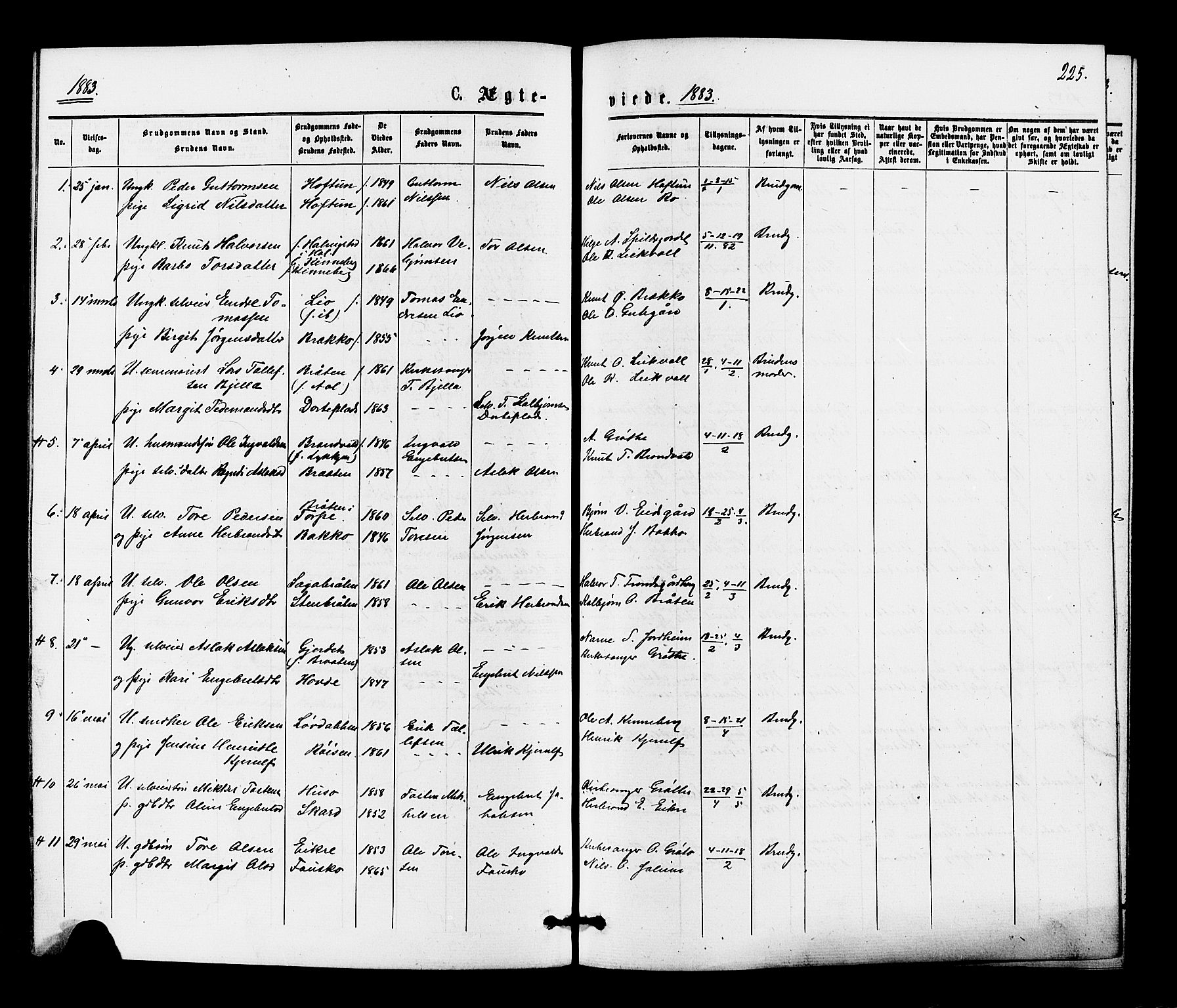 Gol kirkebøker, SAKO/A-226/F/Fa/L0004: Parish register (official) no. I 4, 1876-1886, p. 225
