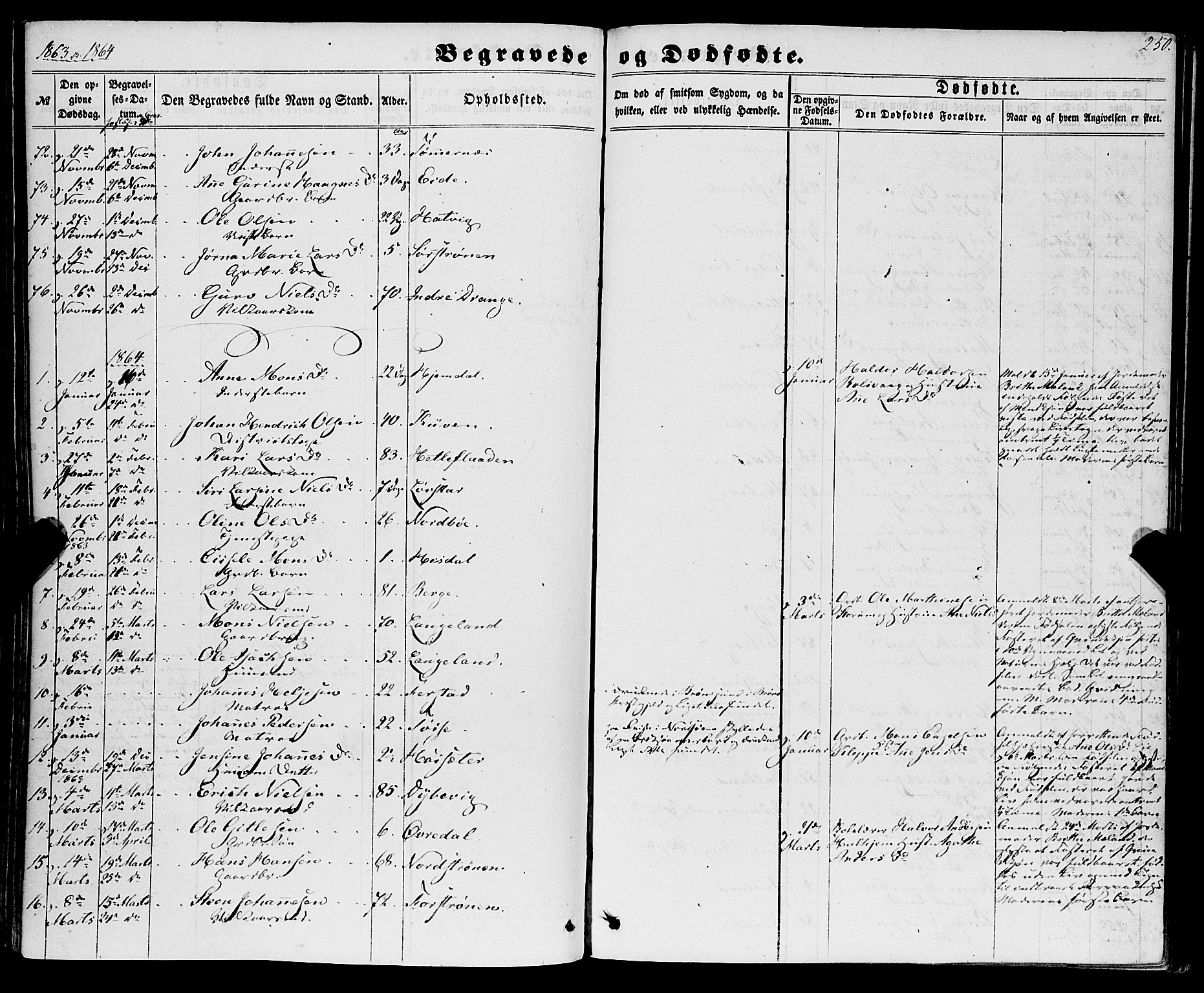 Os sokneprestembete, SAB/A-99929: Parish register (official) no. A 17, 1860-1873, p. 250