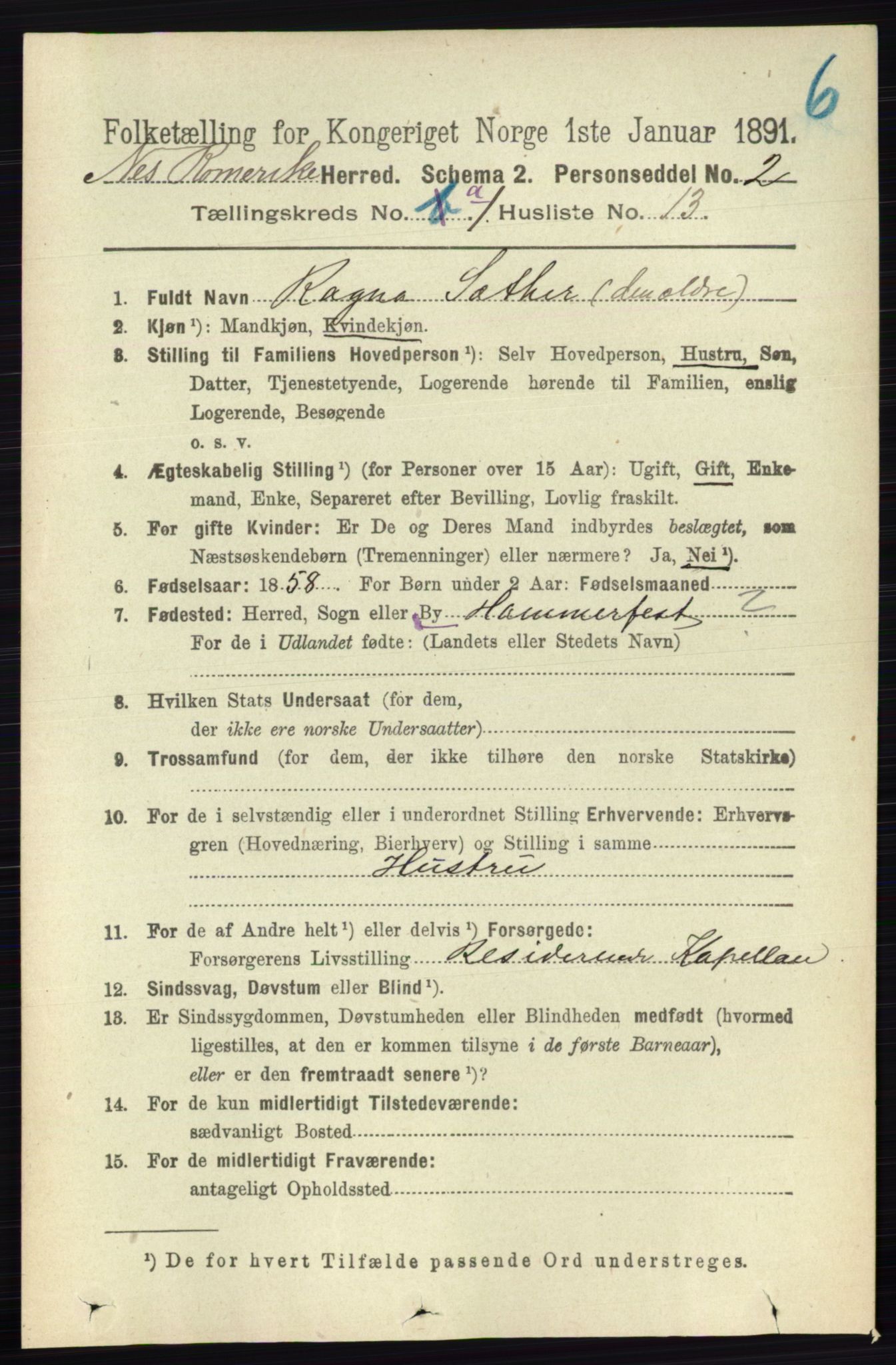 RA, 1891 census for 0236 Nes, 1891, p. 187