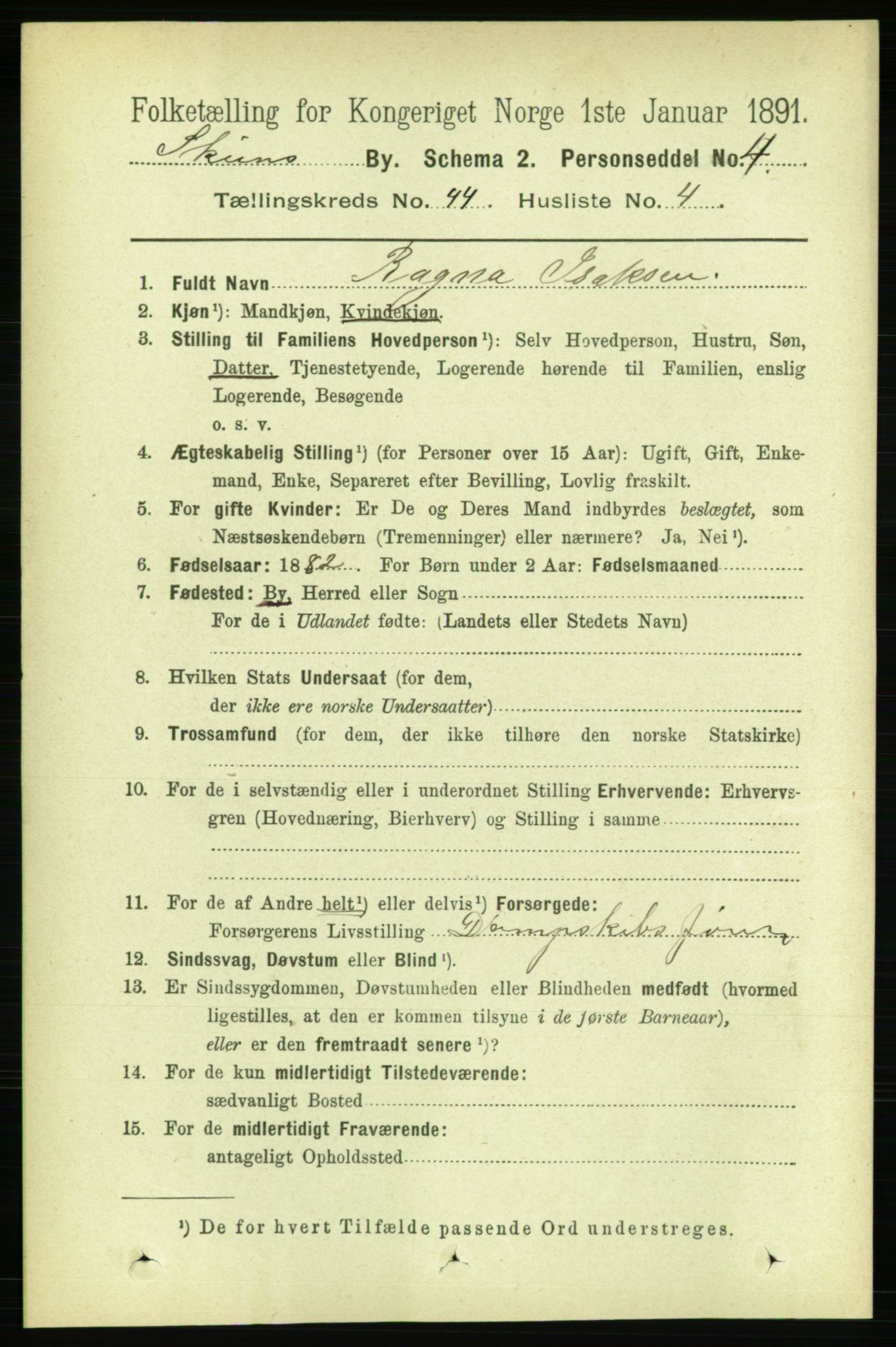 RA, 1891 census for 0806 Skien, 1891, p. 8798