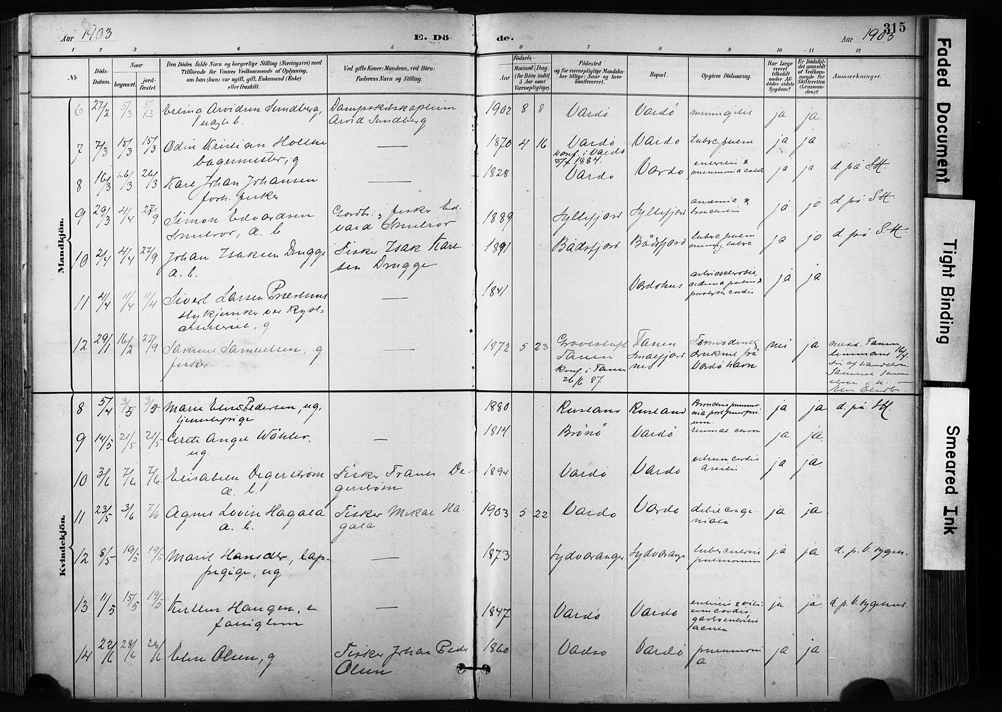 Vardø sokneprestkontor, SATØ/S-1332/H/Ha/L0010kirke: Parish register (official) no. 10, 1895-1907, p. 315