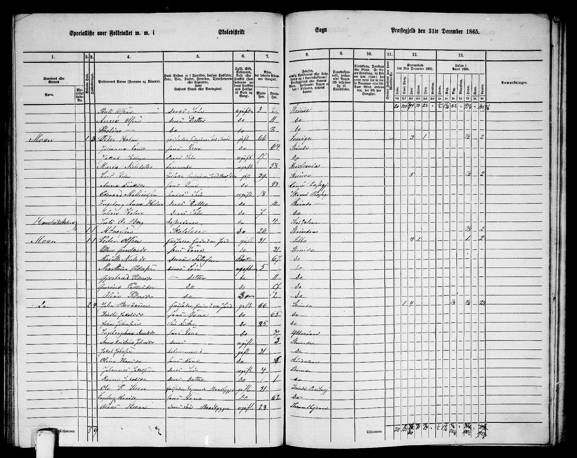 RA, 1865 census for Strinda, 1865, p. 243