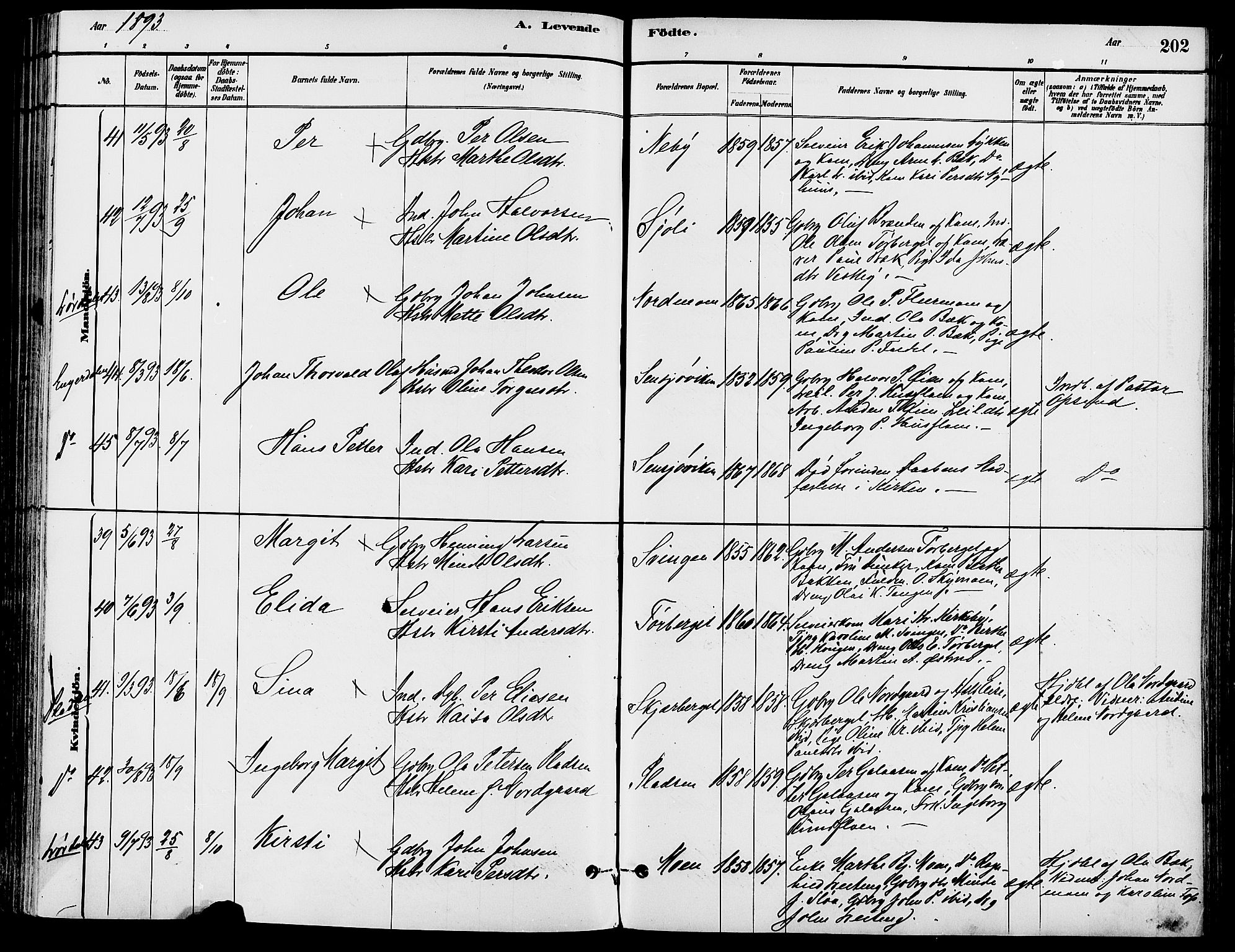 Trysil prestekontor, AV/SAH-PREST-046/H/Ha/Haa/L0008: Parish register (official) no. 8, 1881-1897, p. 202