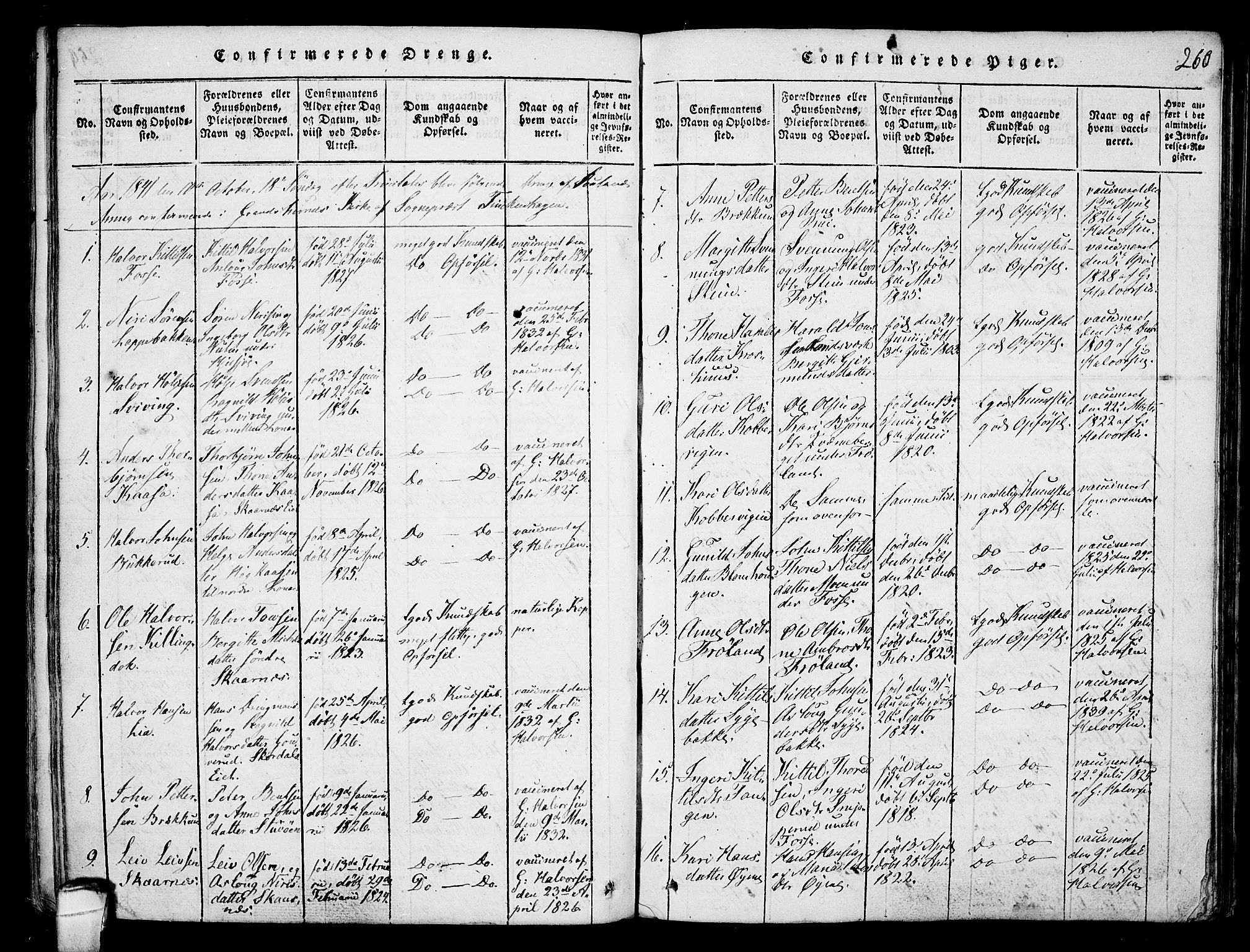 Hjartdal kirkebøker, SAKO/A-270/F/Fb/L0001: Parish register (official) no. II 1, 1815-1843, p. 260