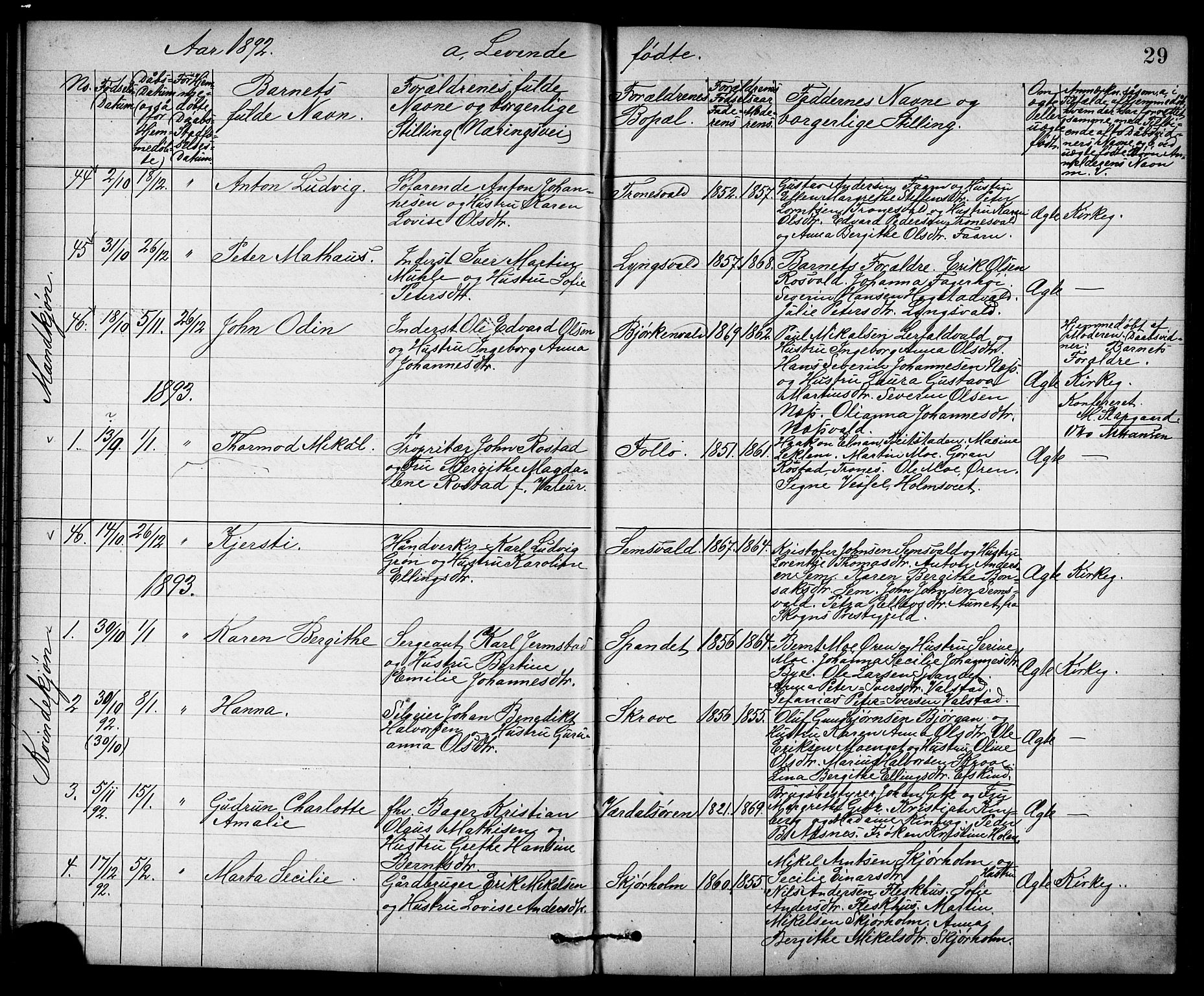 Ministerialprotokoller, klokkerbøker og fødselsregistre - Nord-Trøndelag, SAT/A-1458/723/L0257: Parish register (copy) no. 723C05, 1890-1907, p. 29