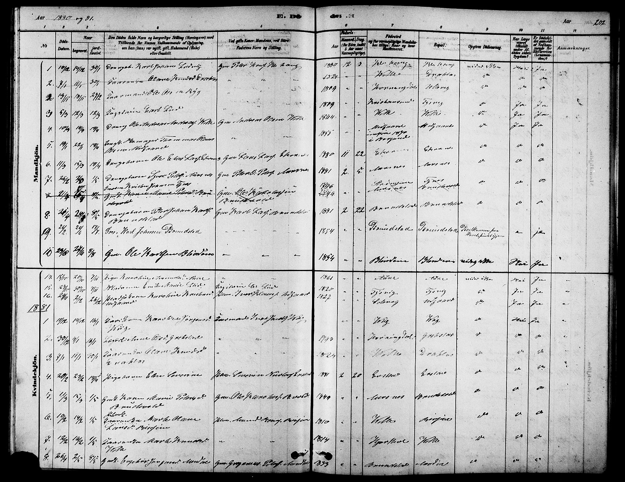 Ministerialprotokoller, klokkerbøker og fødselsregistre - Møre og Romsdal, SAT/A-1454/523/L0339: Parish register (copy) no. 523C02, 1878-1891, p. 202
