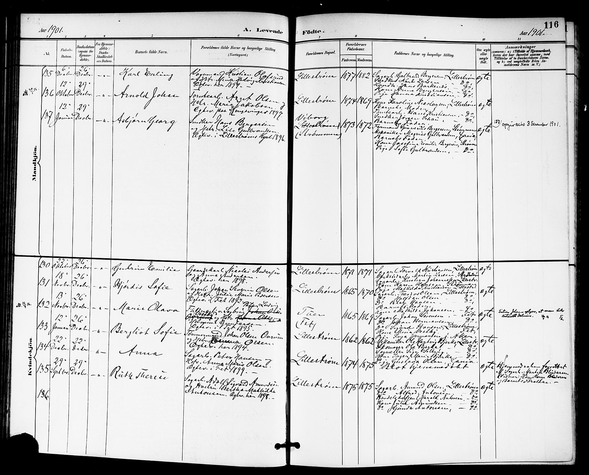 Skedsmo prestekontor Kirkebøker, AV/SAO-A-10033a/G/Ga/L0005a: Parish register (copy) no. I 5A, 1896-1901, p. 116