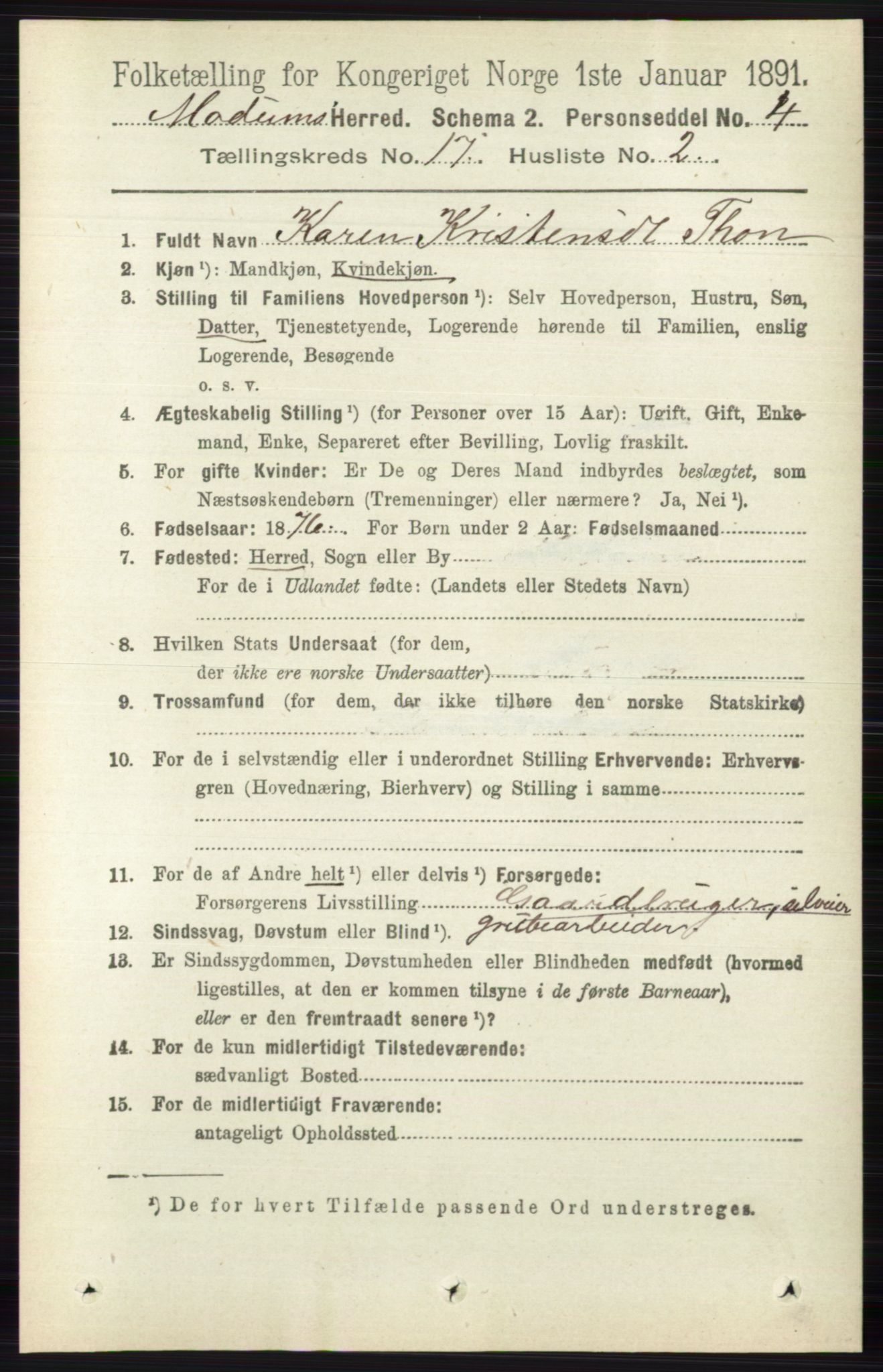 RA, 1891 census for 0623 Modum, 1891, p. 6643