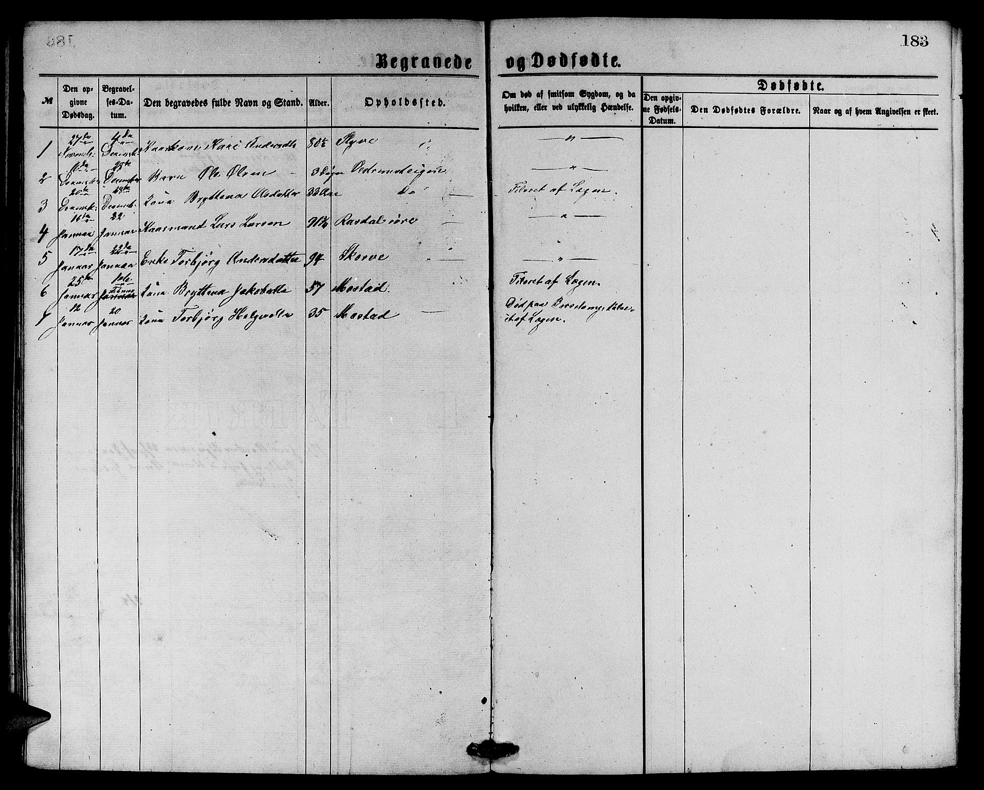 Evanger sokneprestembete, SAB/A-99924: Parish register (copy) no. A 3, 1875-1887, p. 183