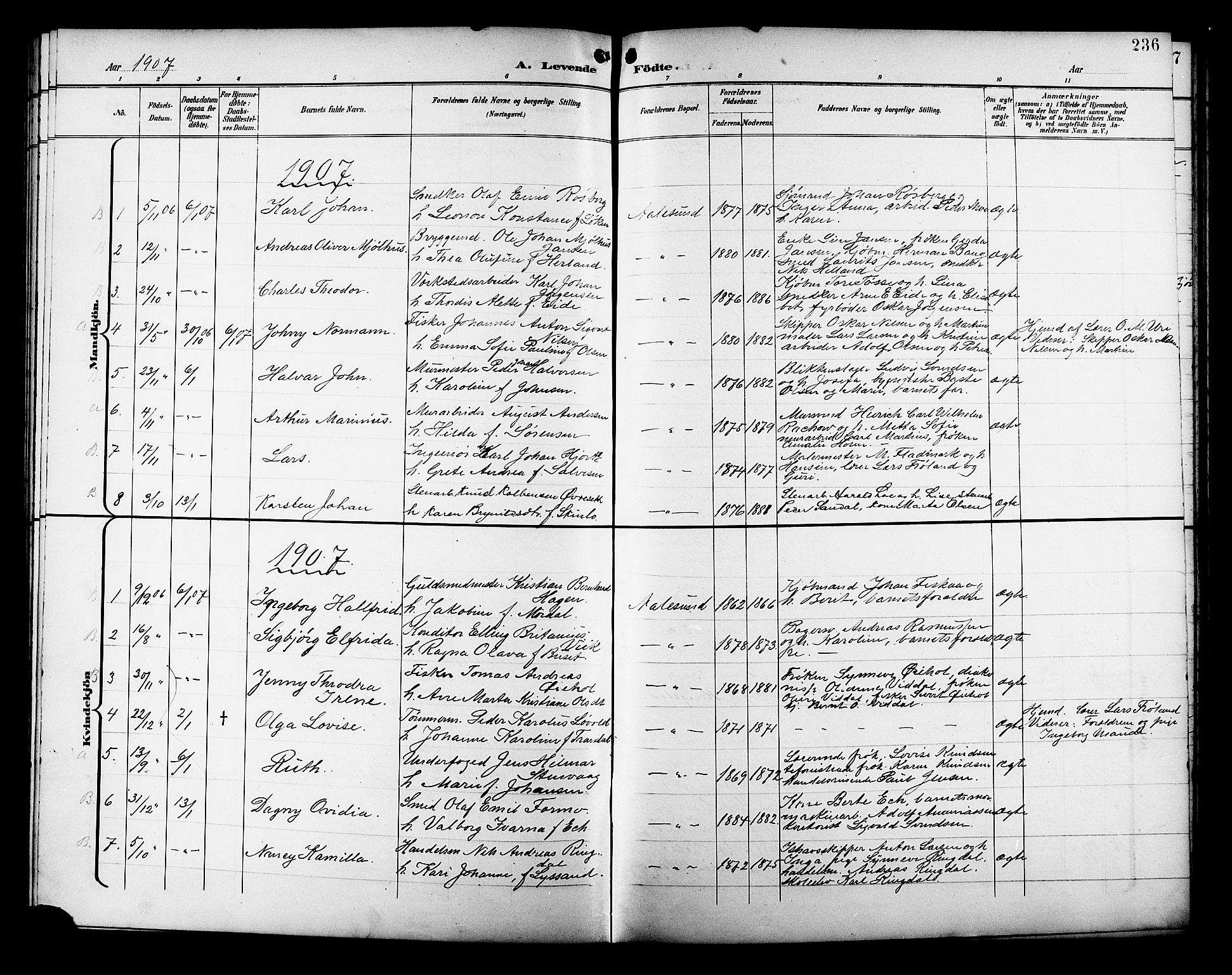 Ministerialprotokoller, klokkerbøker og fødselsregistre - Møre og Romsdal, AV/SAT-A-1454/529/L0468: Parish register (copy) no. 529C05, 1897-1908, p. 236