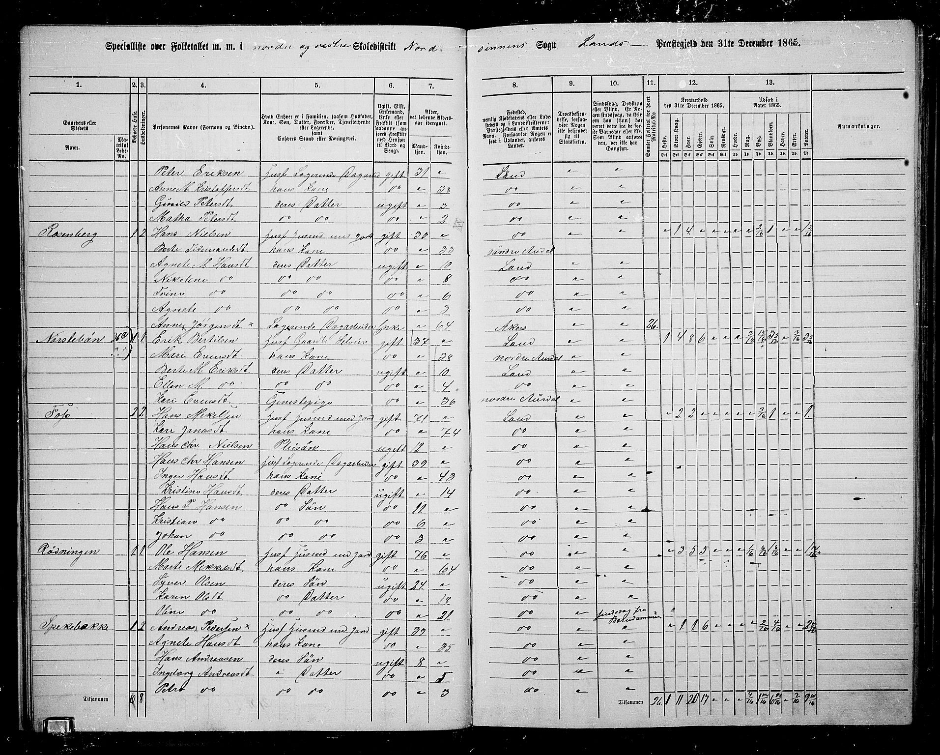 RA, 1865 census for Land, 1865, p. 31