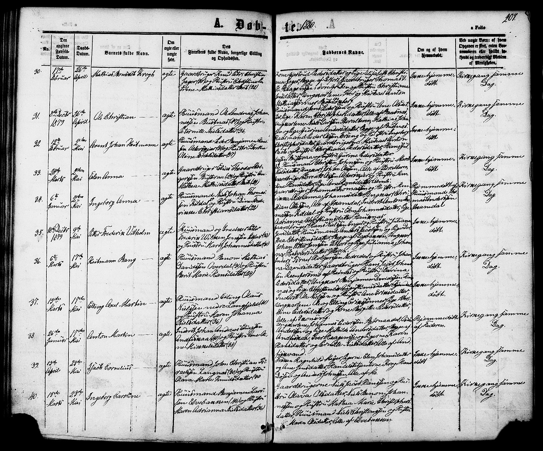 Ministerialprotokoller, klokkerbøker og fødselsregistre - Nordland, AV/SAT-A-1459/827/L0393: Parish register (official) no. 827A05, 1863-1883, p. 207