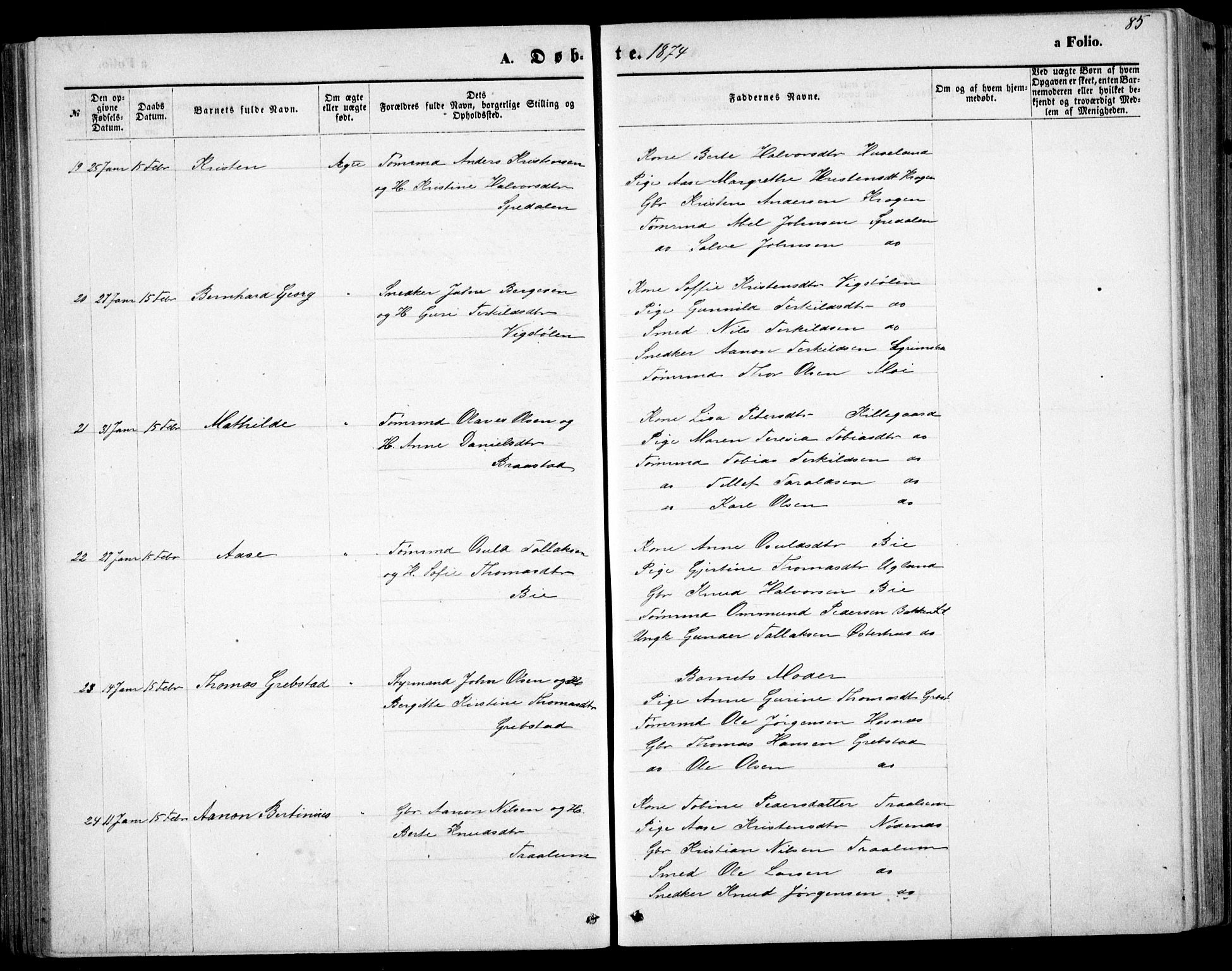 Fjære sokneprestkontor, AV/SAK-1111-0011/F/Fb/L0010: Parish register (copy) no. B 10, 1871-1880, p. 85