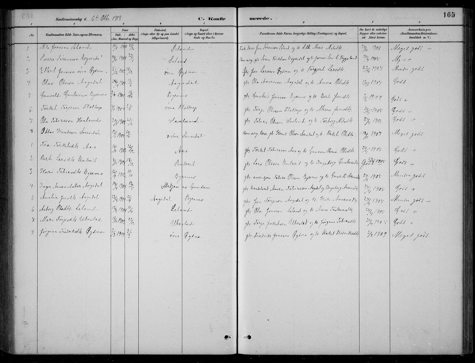 Bjelland sokneprestkontor, SAK/1111-0005/F/Fb/Fbc/L0003: Parish register (copy) no. B 3, 1887-1924, p. 165