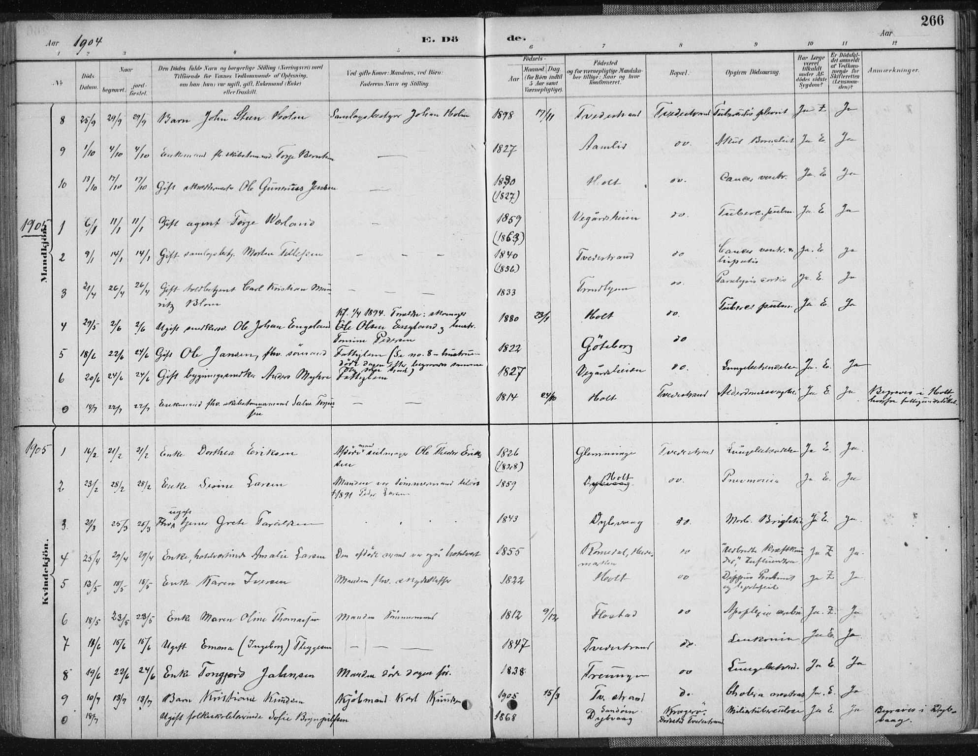 Tvedestrand sokneprestkontor, AV/SAK-1111-0042/F/Fa/L0001: Parish register (official) no. A 1, 1885-1916, p. 266