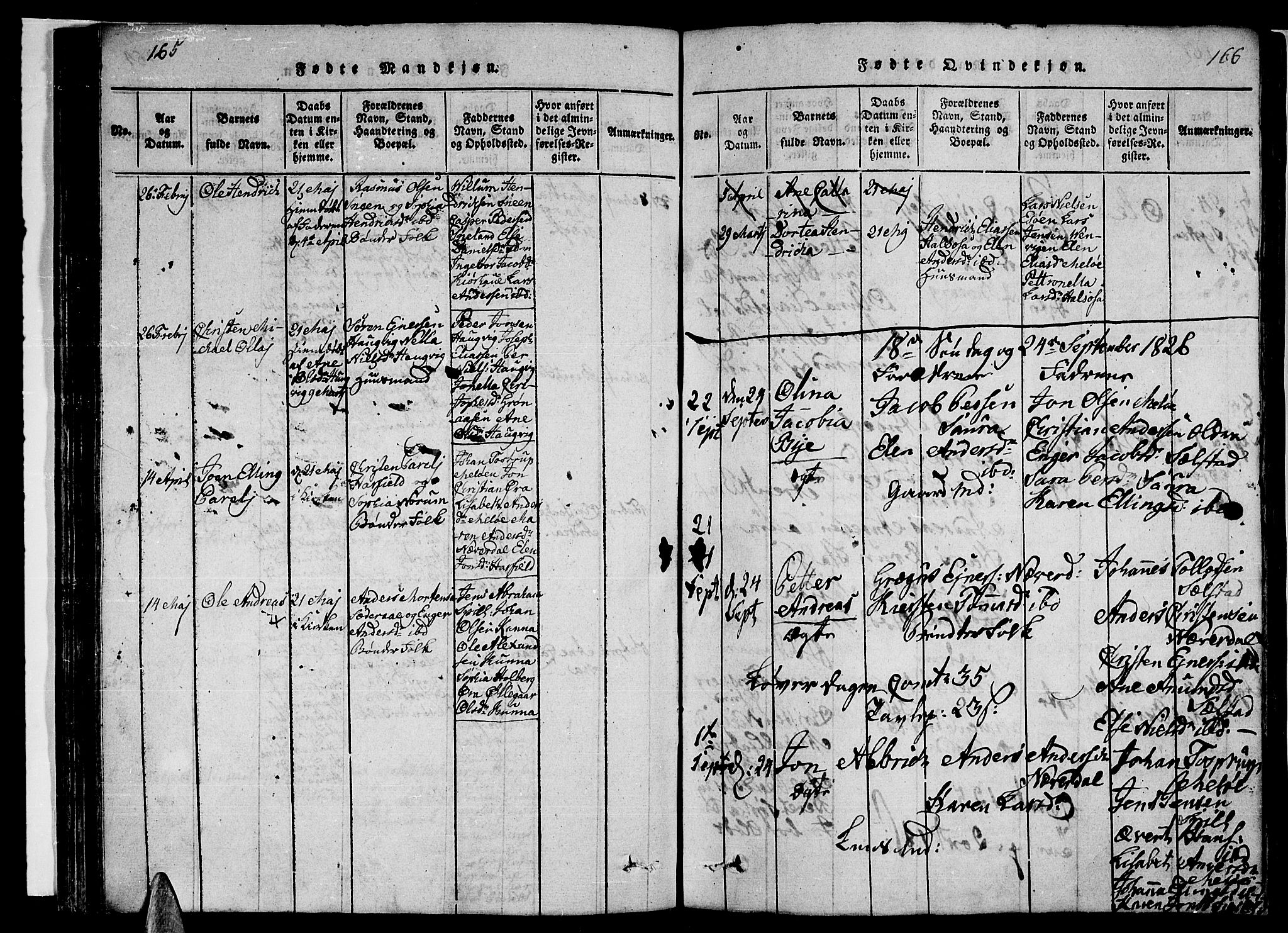 Ministerialprotokoller, klokkerbøker og fødselsregistre - Nordland, SAT/A-1459/841/L0617: Parish register (copy) no. 841C01 /2, 1820-1830, p. 165-166