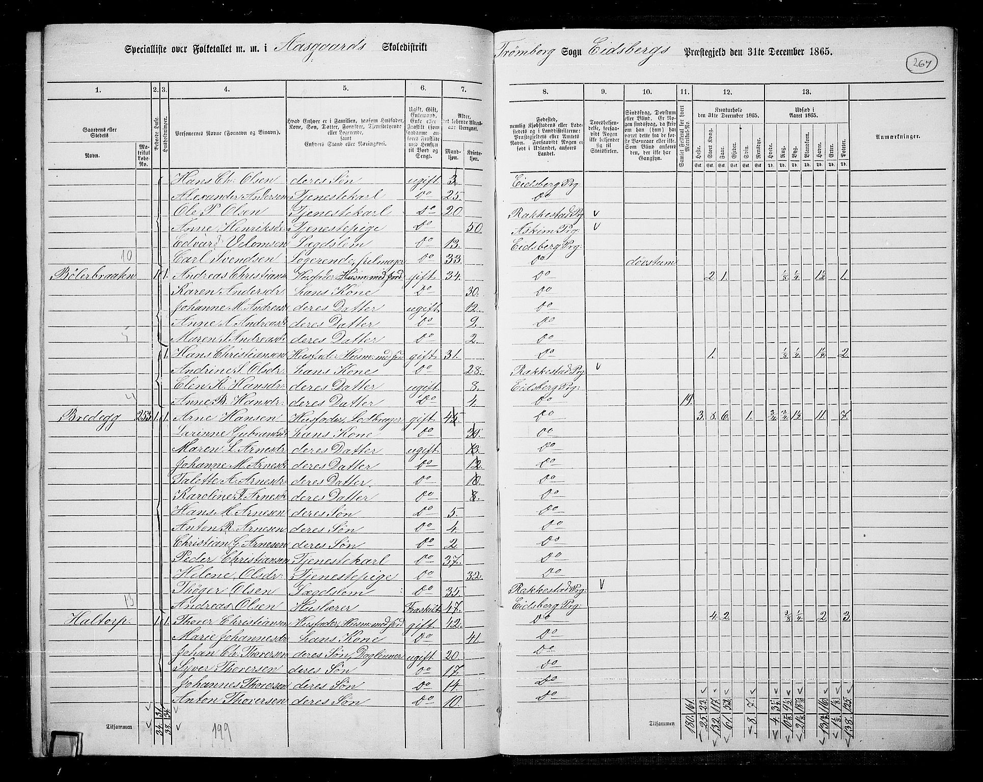 RA, 1865 census for Eidsberg, 1865, p. 243