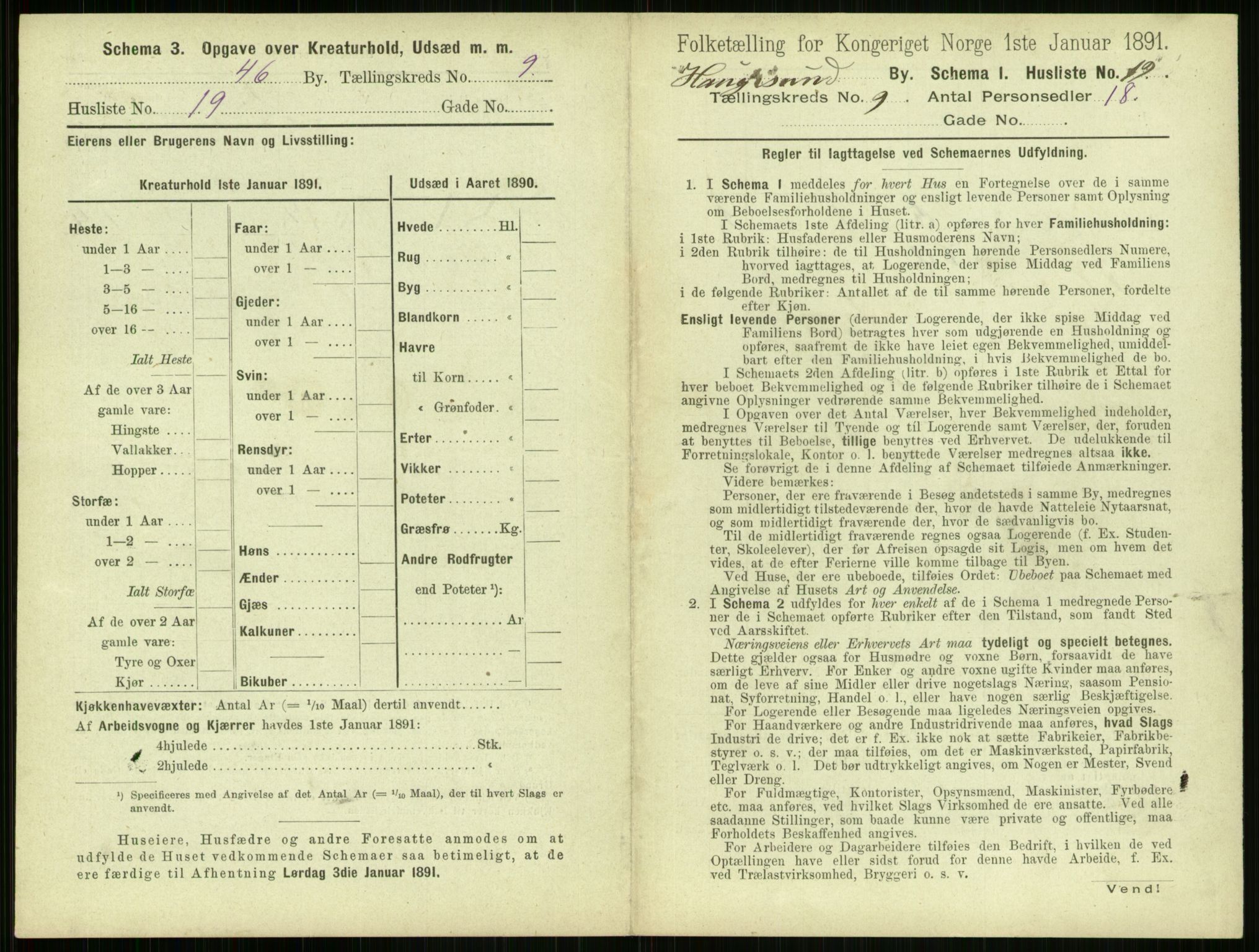 RA, 1891 census for 1106 Haugesund, 1891, p. 679