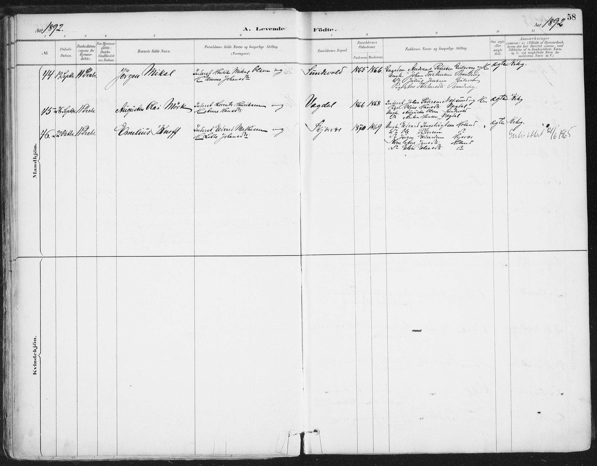 Ministerialprotokoller, klokkerbøker og fødselsregistre - Nordland, AV/SAT-A-1459/816/L0244: Parish register (official) no. 816A10, 1886-1903, p. 58