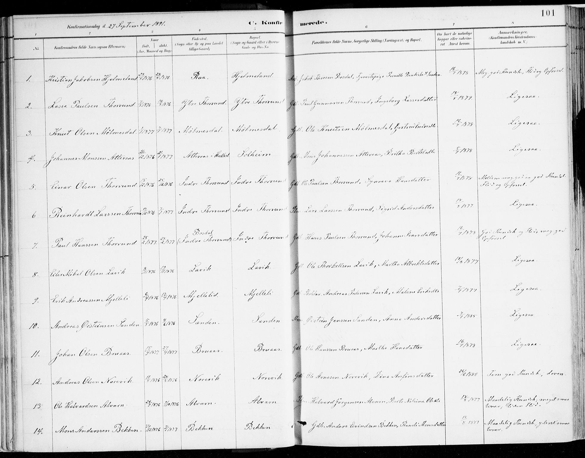 Lavik sokneprestembete, AV/SAB-A-80901: Parish register (official) no. B 1, 1882-1908, p. 101