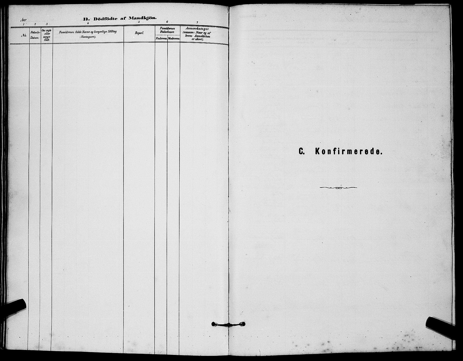 Brunlanes kirkebøker, AV/SAKO-A-342/G/Gb/L0002: Parish register (copy) no. II 2, 1878-1902