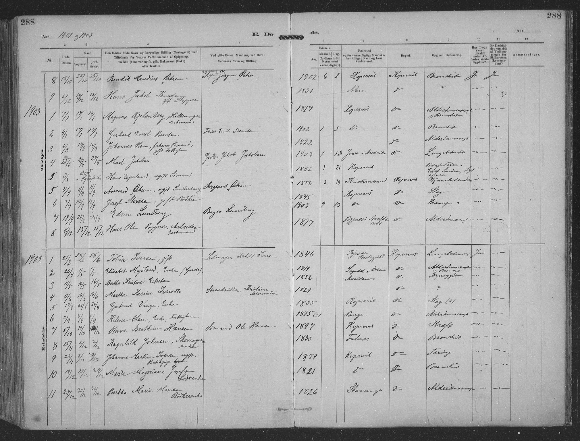 Kopervik sokneprestkontor, SAST/A-101850/H/Ha/Haa/L0001: Parish register (official) no. A 1, 1880-1919, p. 288
