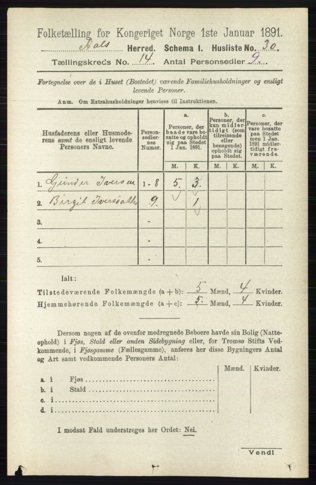 RA, 1891 census for 0619 Ål, 1891, p. 3537