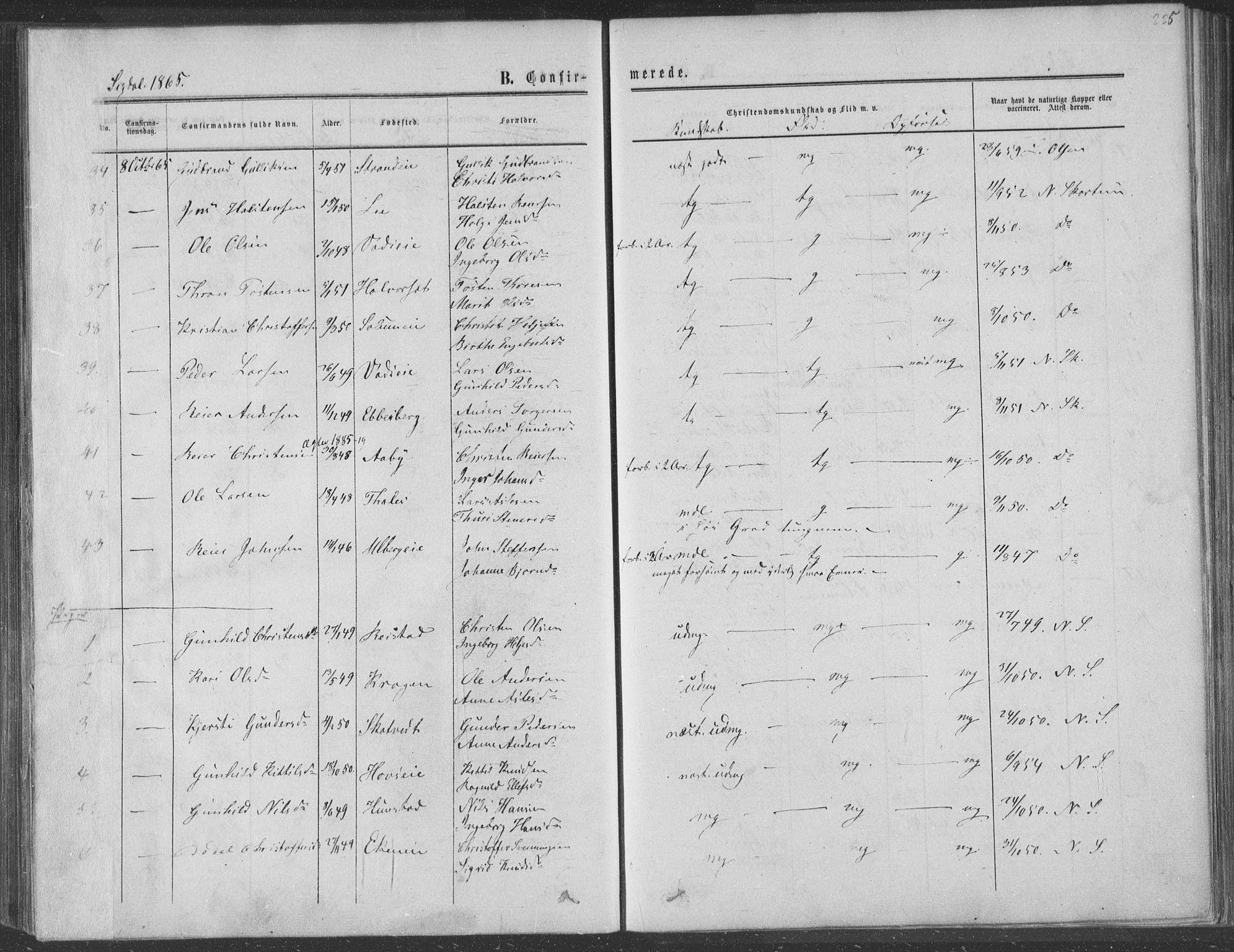 Sigdal kirkebøker, AV/SAKO-A-245/F/Fa/L0009a: Parish register (official) no. I 9A, 1860-1871, p. 225