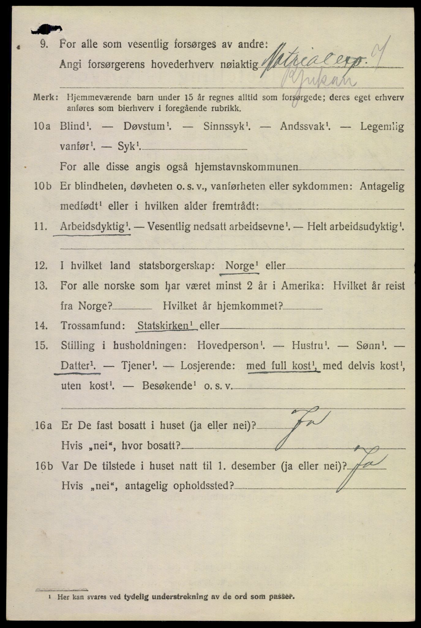 SAKO, 1920 census for Tinn, 1920, p. 15069