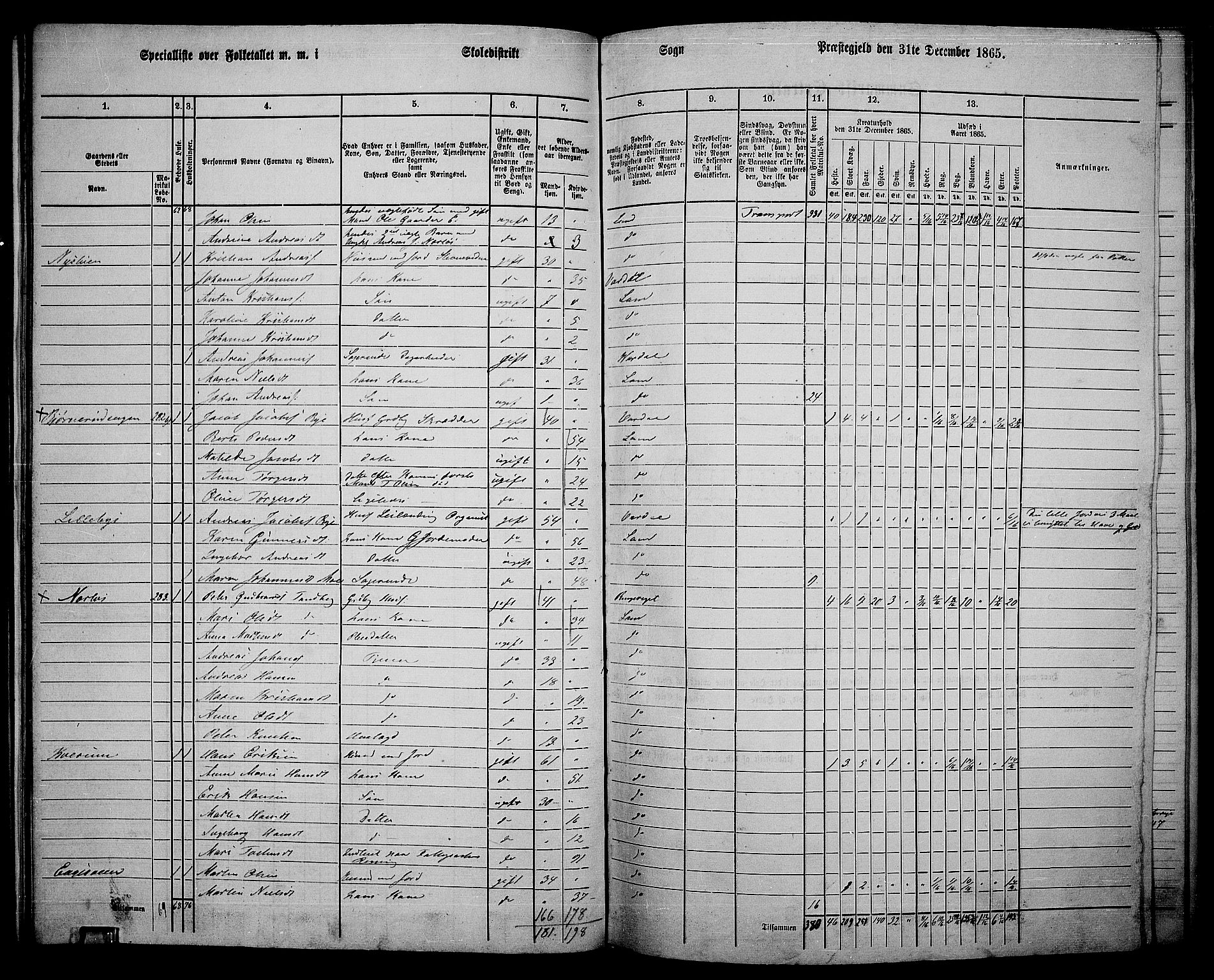 RA, 1865 census for Land, 1865, p. 314