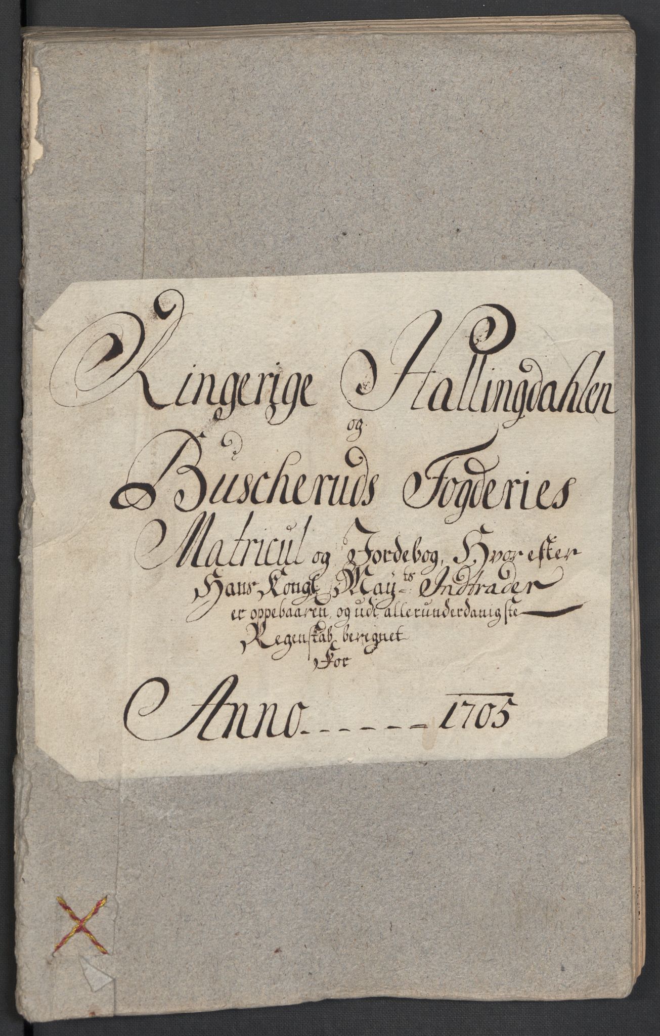 Rentekammeret inntil 1814, Reviderte regnskaper, Fogderegnskap, AV/RA-EA-4092/R22/L1464: Fogderegnskap Ringerike, Hallingdal og Buskerud, 1705, p. 28