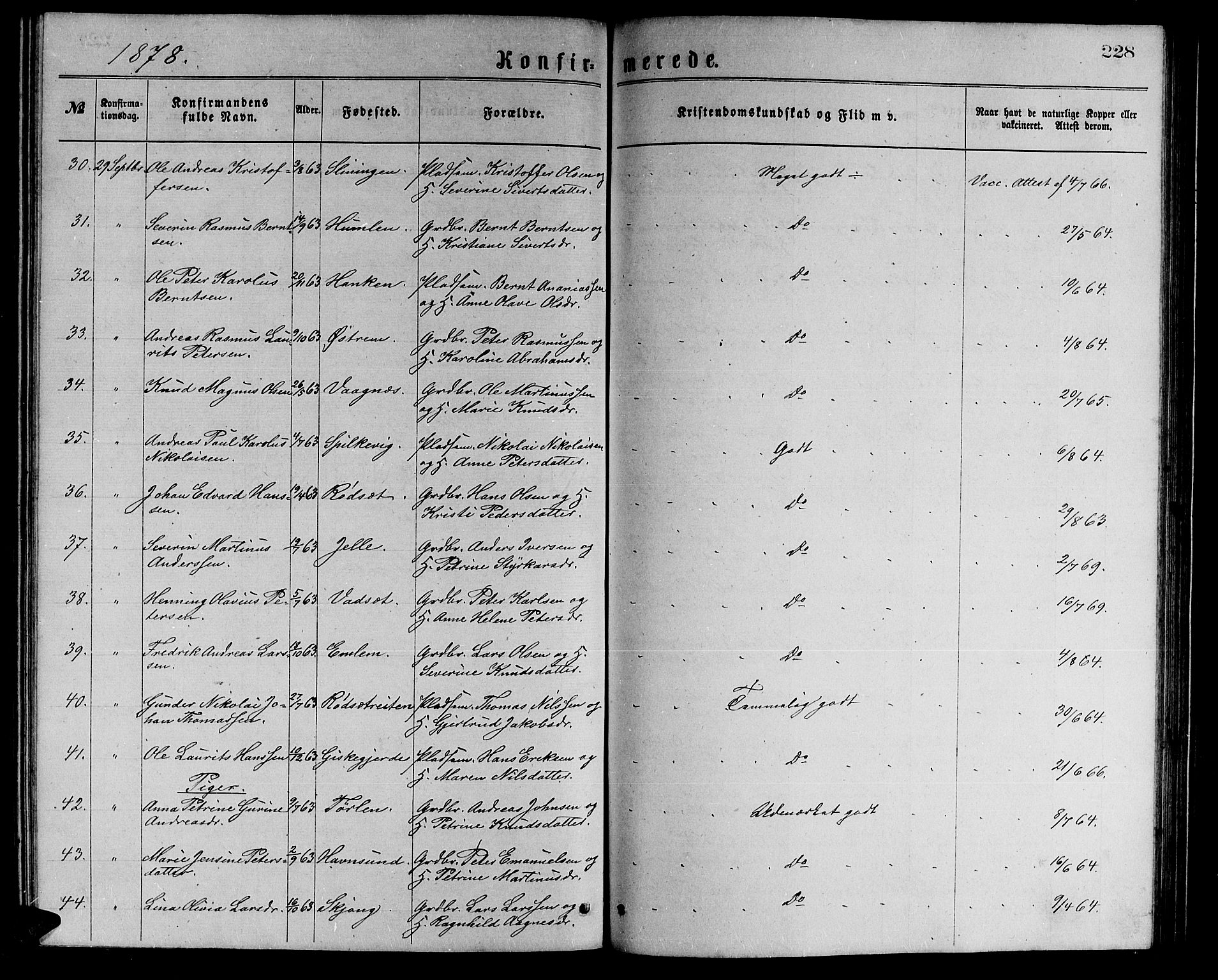 Ministerialprotokoller, klokkerbøker og fødselsregistre - Møre og Romsdal, AV/SAT-A-1454/528/L0429: Parish register (copy) no. 528C10, 1872-1886, p. 228