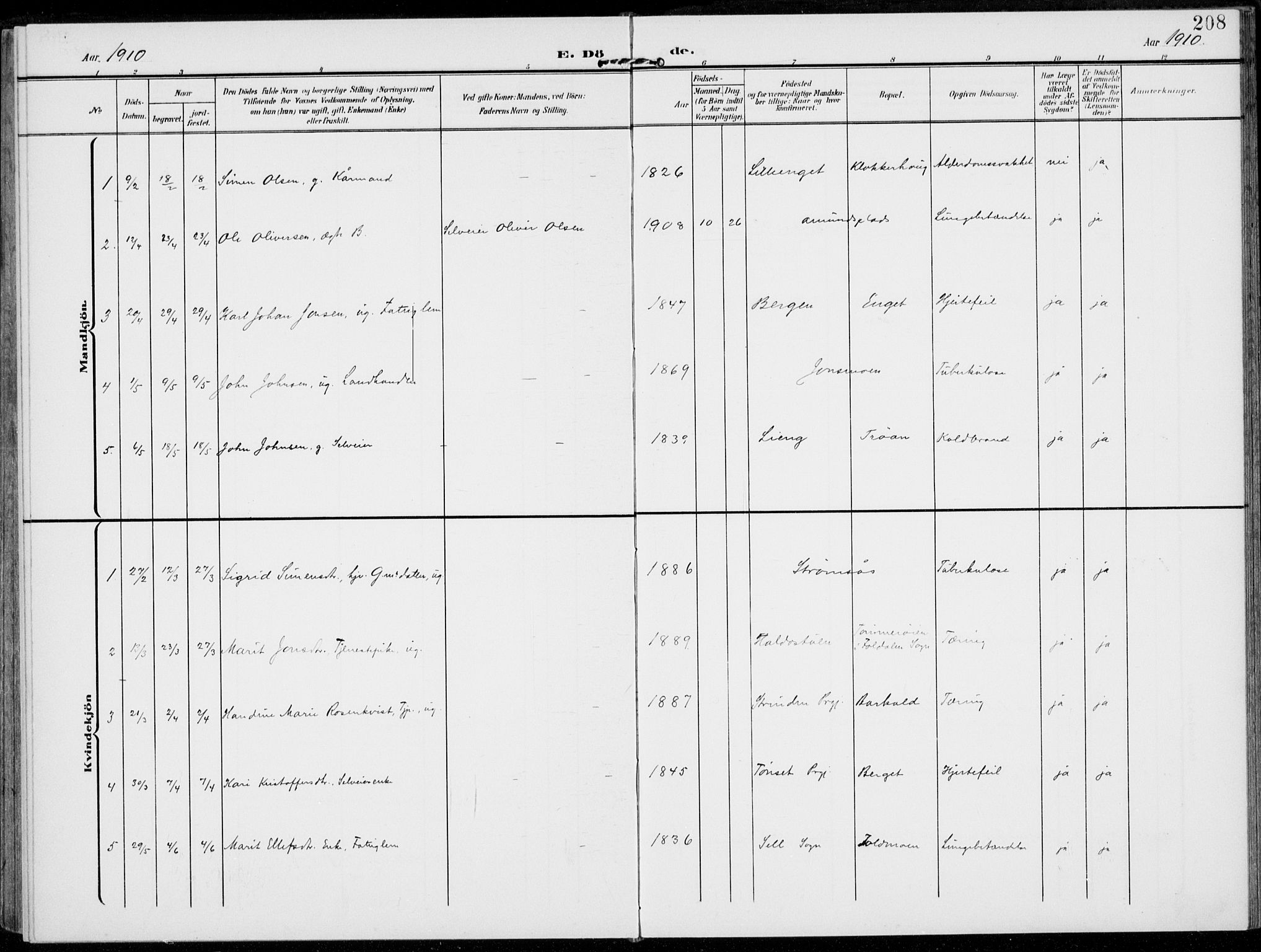 Alvdal prestekontor, SAH/PREST-060/H/Ha/Haa/L0004: Parish register (official) no. 4, 1907-1919, p. 208