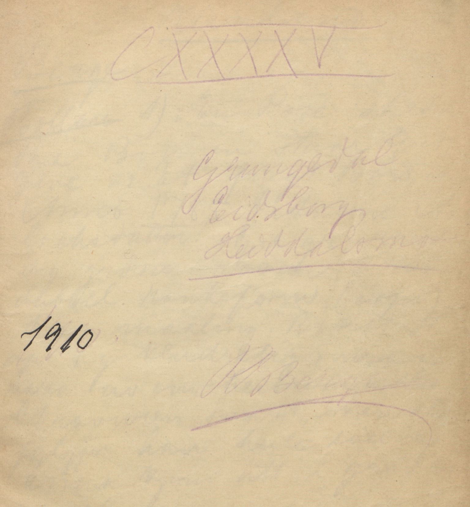 Rikard Berge, TEMU/TGM-A-1003/F/L0004/0042: 101-159 / 145 Grungedal, Eidsborg, Heiddalsmo, 1910, p. 1