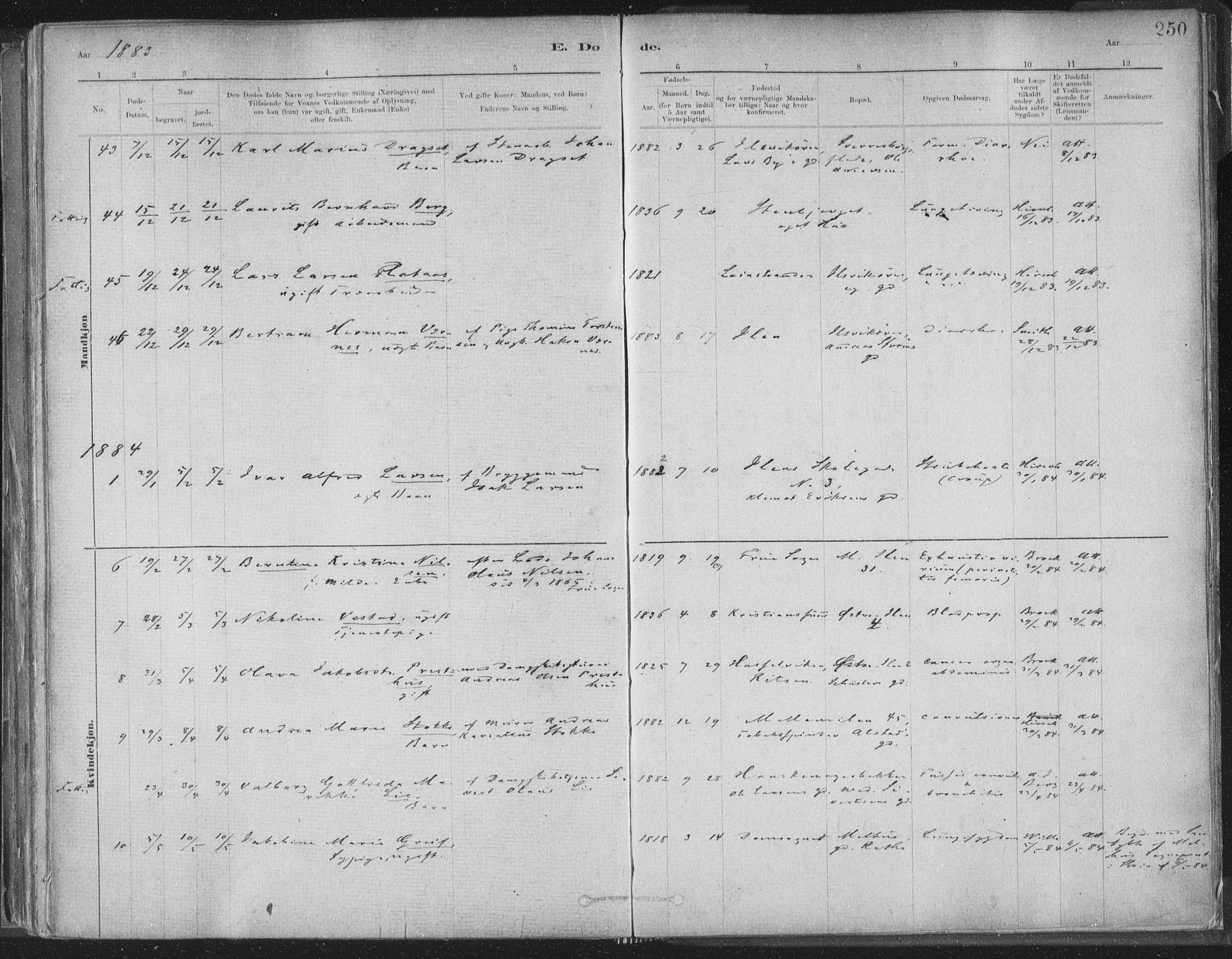 Ministerialprotokoller, klokkerbøker og fødselsregistre - Sør-Trøndelag, SAT/A-1456/603/L0162: Parish register (official) no. 603A01, 1879-1895, p. 250